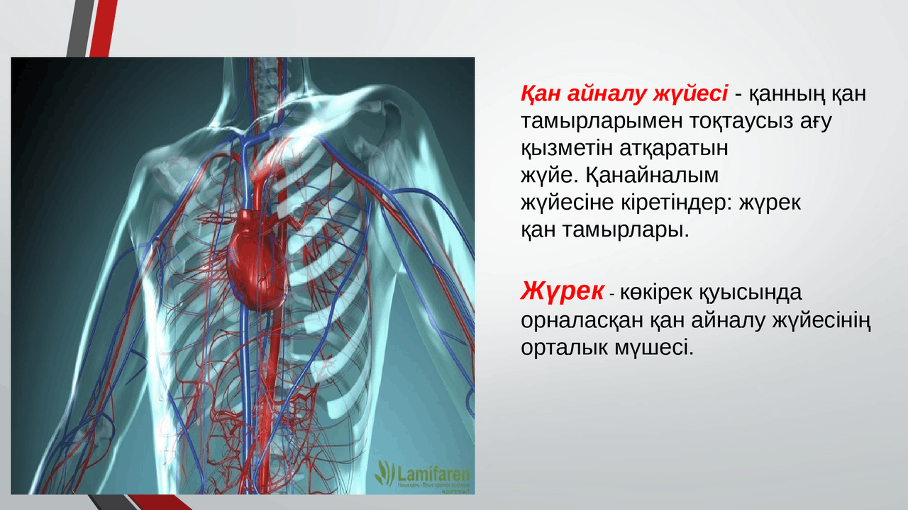 Екі әйел мен күйеу арасындағы жыныстық қатынас Ана мен бала секс туралы фильмдер