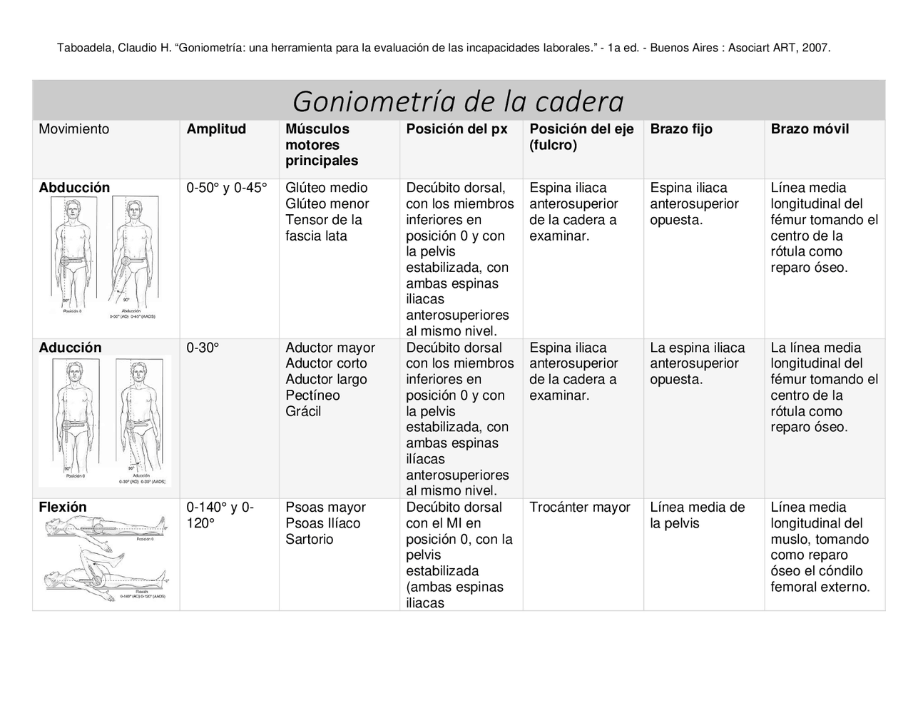 Goniometria de la cadera | Apuntes de Fisioterapia | Docsity