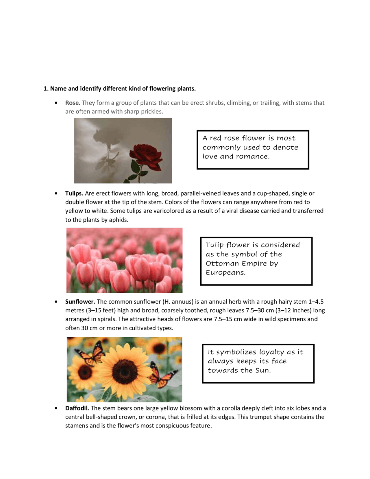 Types of urban gardening and it's benefits - Docsity
