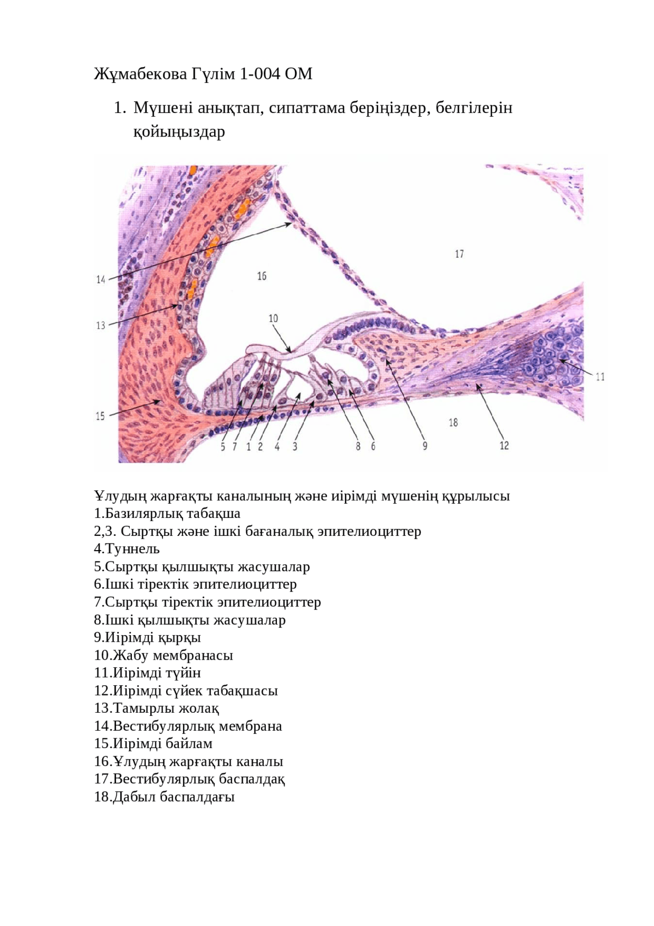 Түрмедегі секс порно фильмдерін онлайн көру
