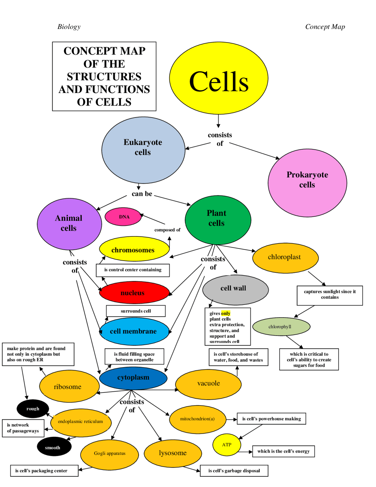 Cell Map Project Concept Map of Structures and Functions of Cell - Docsity