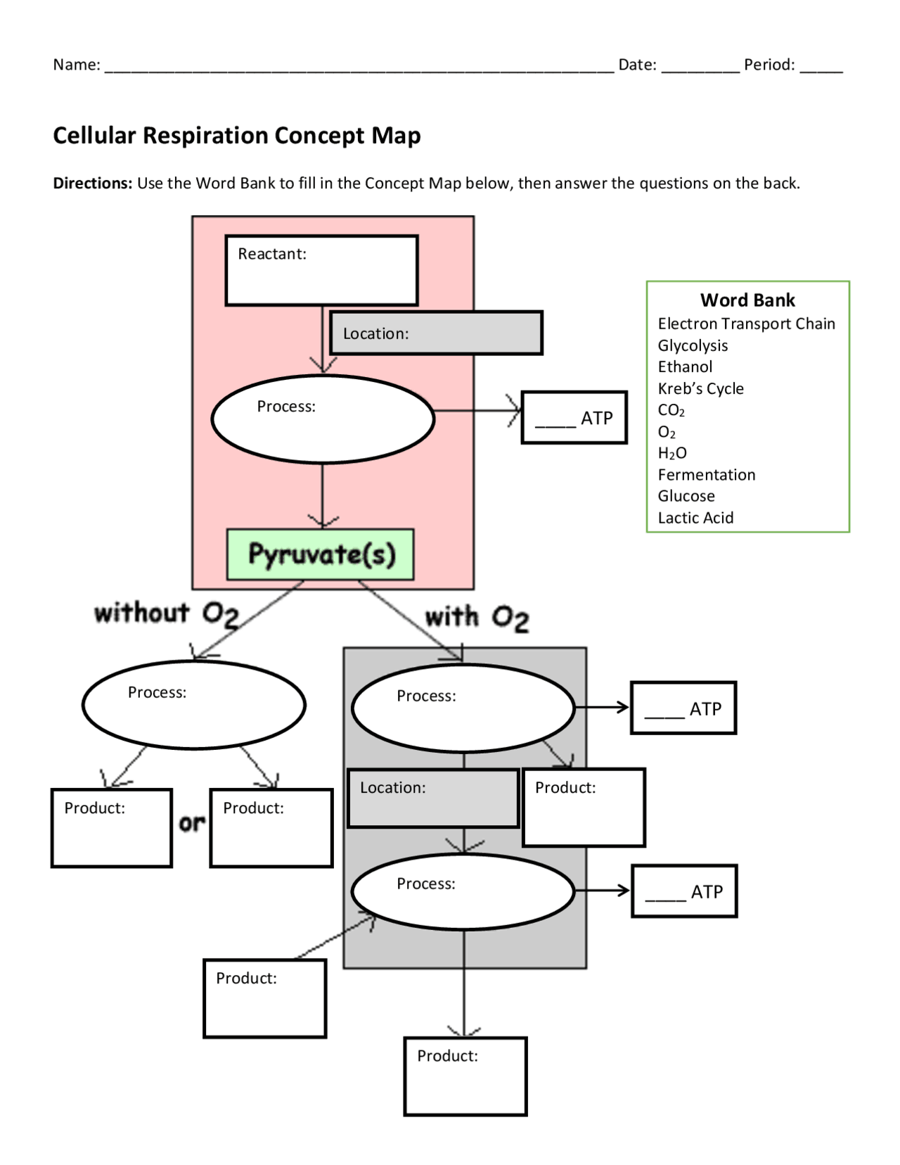 Cellular Respiration Concept Map And Analysis Questions Schemes And   C7ecb169089a8470384e0da5ae1d3cb6 