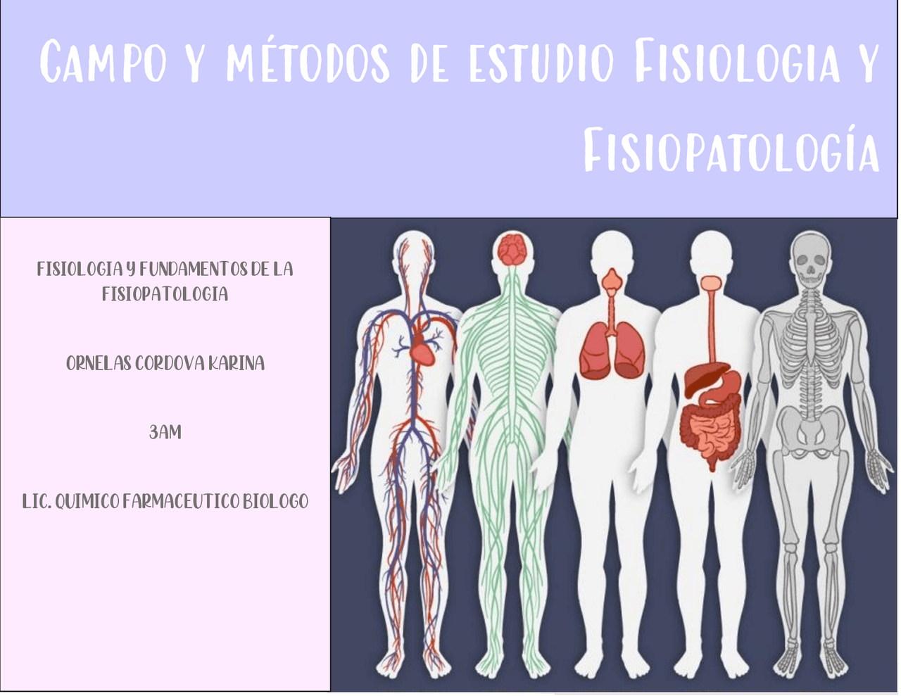 Cuál Es El Objeto De Estudio De La Fisiología www.docsity.com