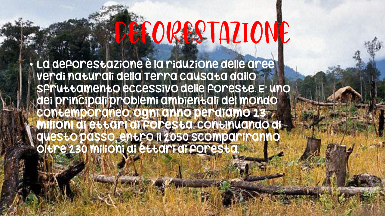 La deforestazione, cause e conseguenze - Docsity
