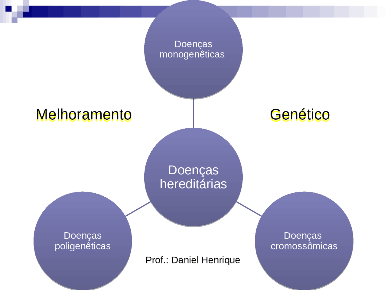 Aula padroes de heranca na genetica | Slide Genetica | Docsity
