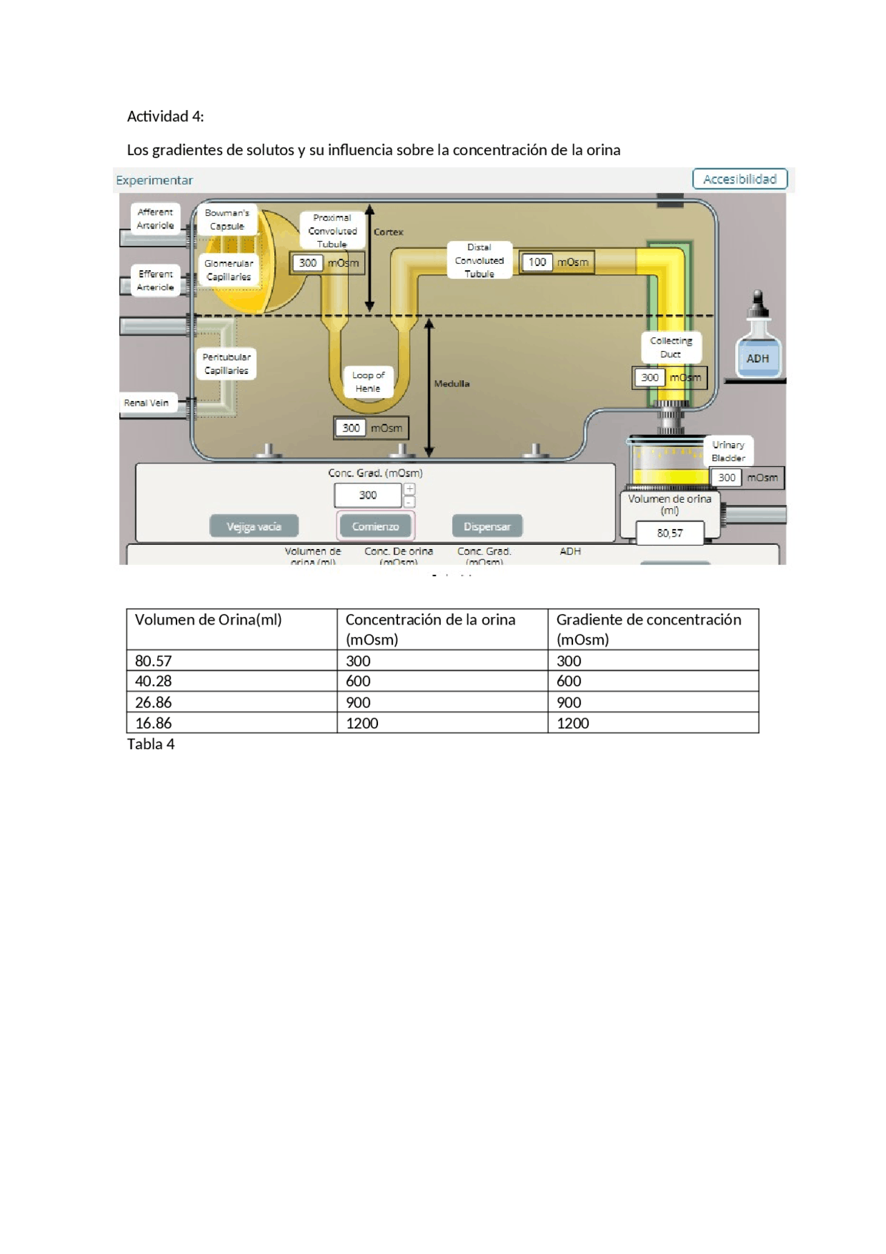 Bioquimica practica 4 - Docsity