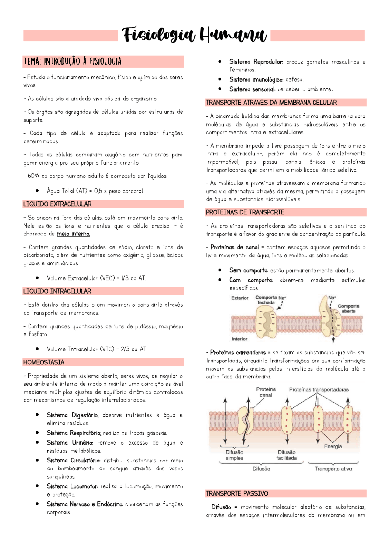 Resumo de Fisiologia Humana (Guyton) | Resumos Fisiologia Humana | Docsity