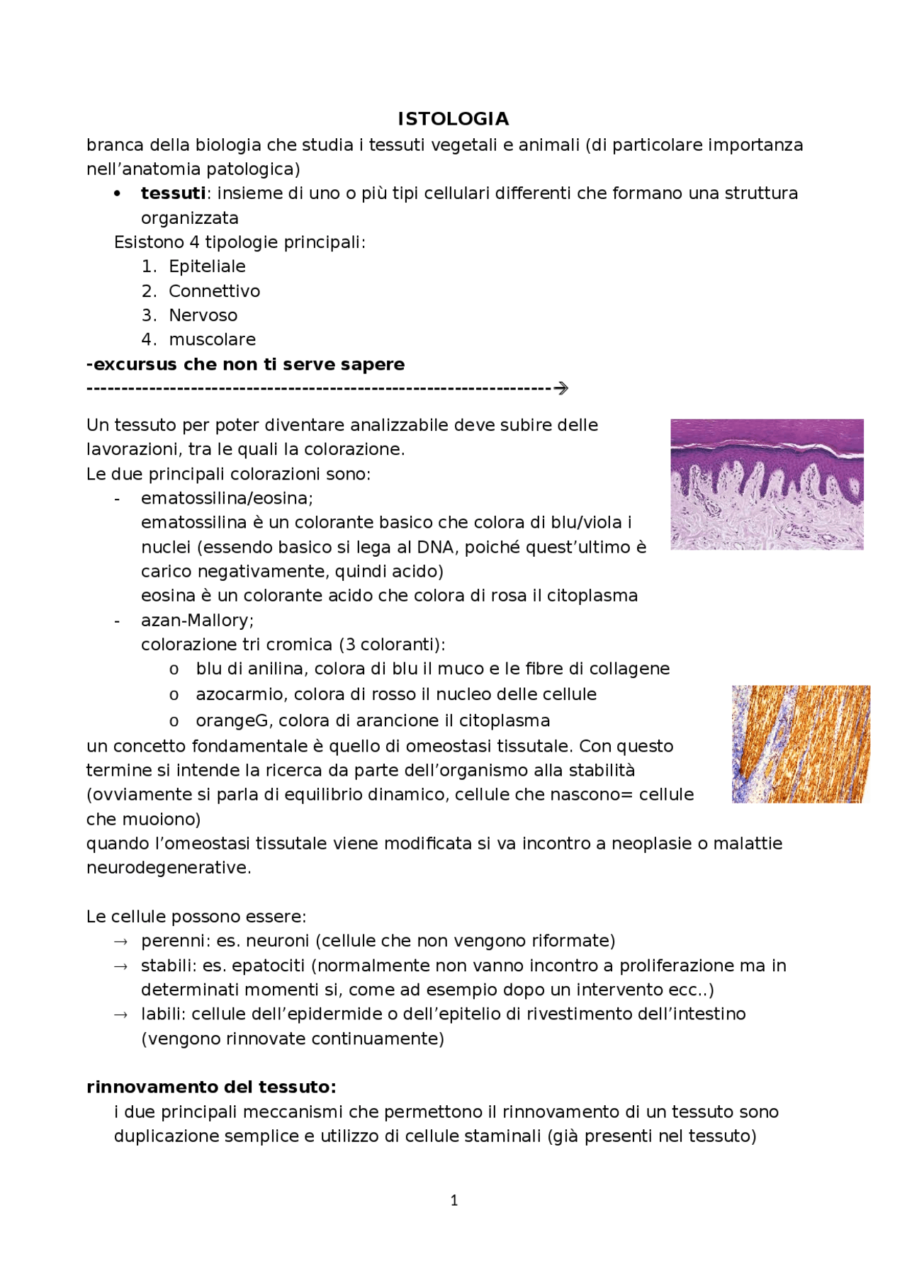 Istologia test di medicina - Docsity