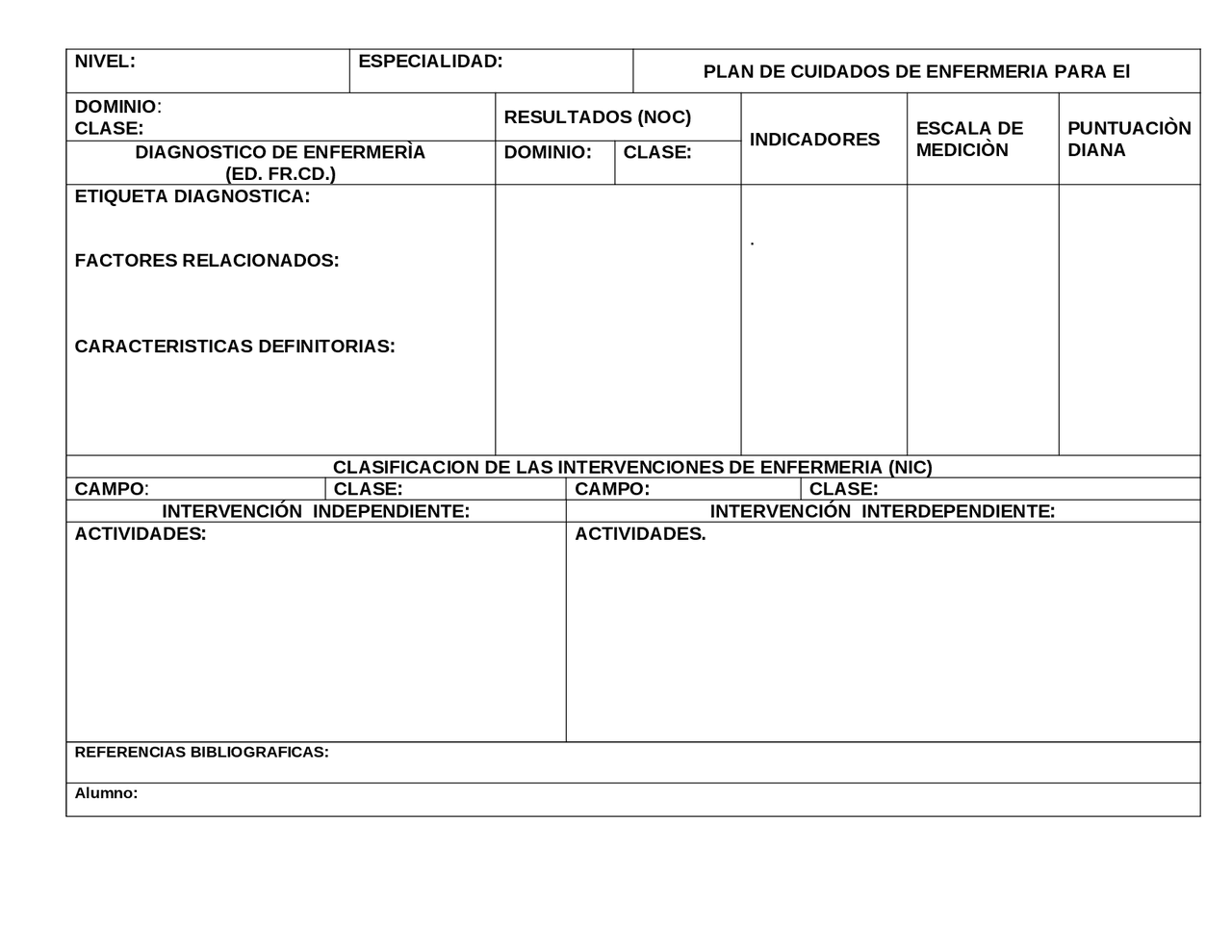 Formato Plan de cuidados de e nfermeria | Apuntes de Fundamentos de