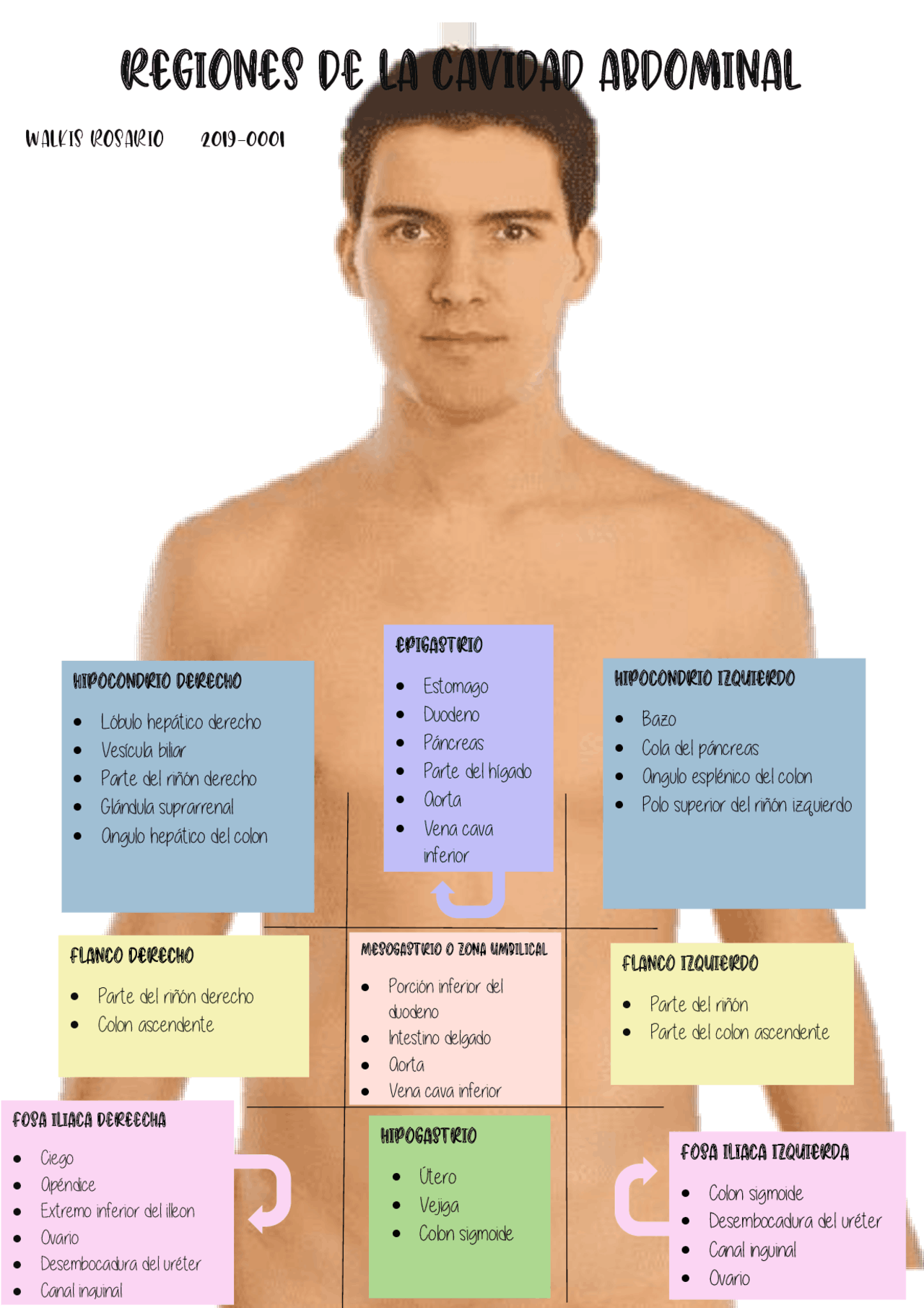 Explosi n Nota Labios Zonas Topograficas Del Abdomen Conversacion Explosi n Nota Labios Zonas Topograficas Del Abdomen Conversacion