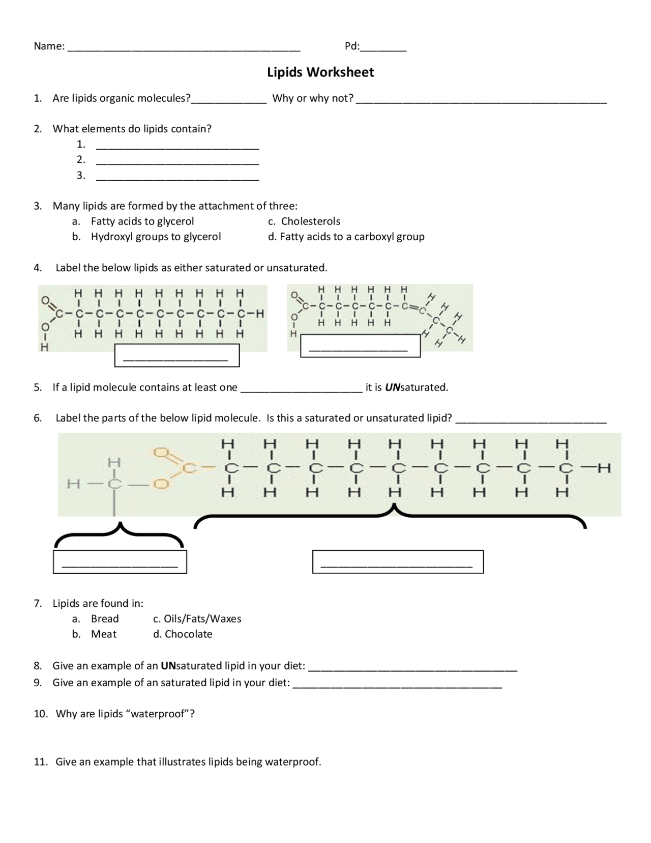 Lipids Worksheet Review Questions - Docsity