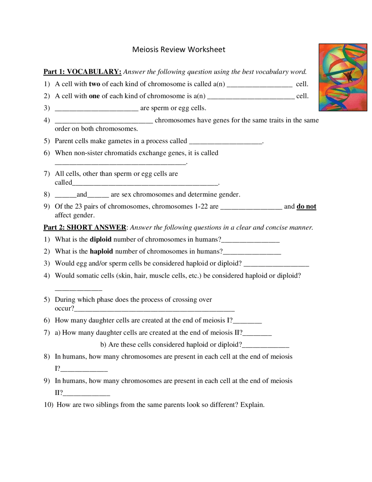Meiosis Review Worksheet Vocabulary Practice | Exercises Cell Biology |  Docsity