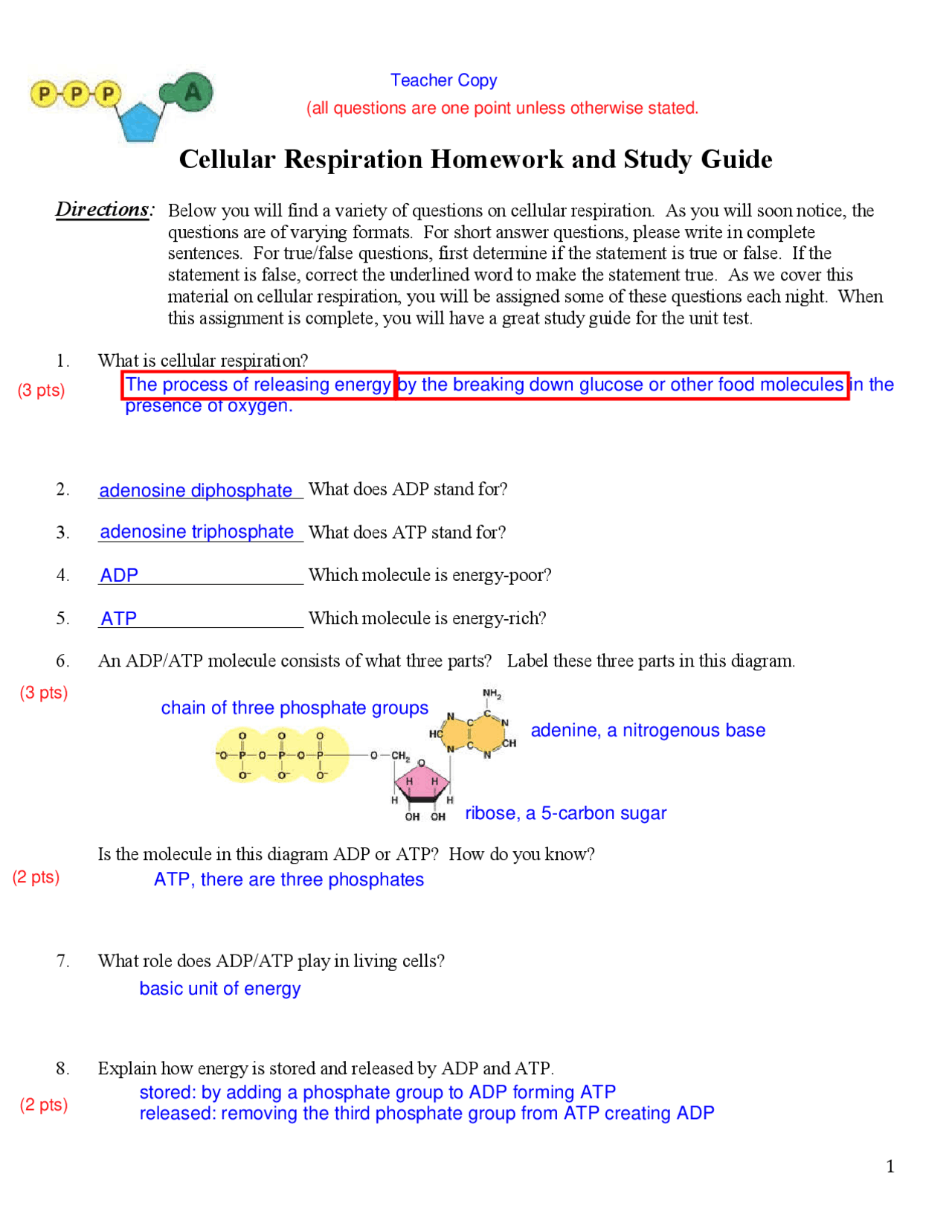 cellular respiration case study answer key