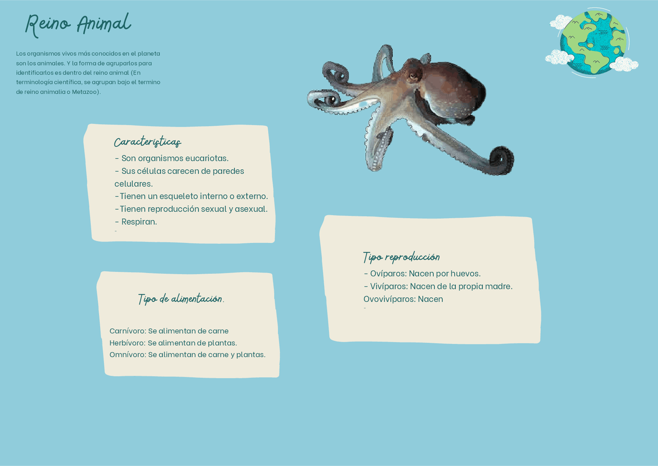 Infografía reino animal | Apuntes de Biología | Docsity