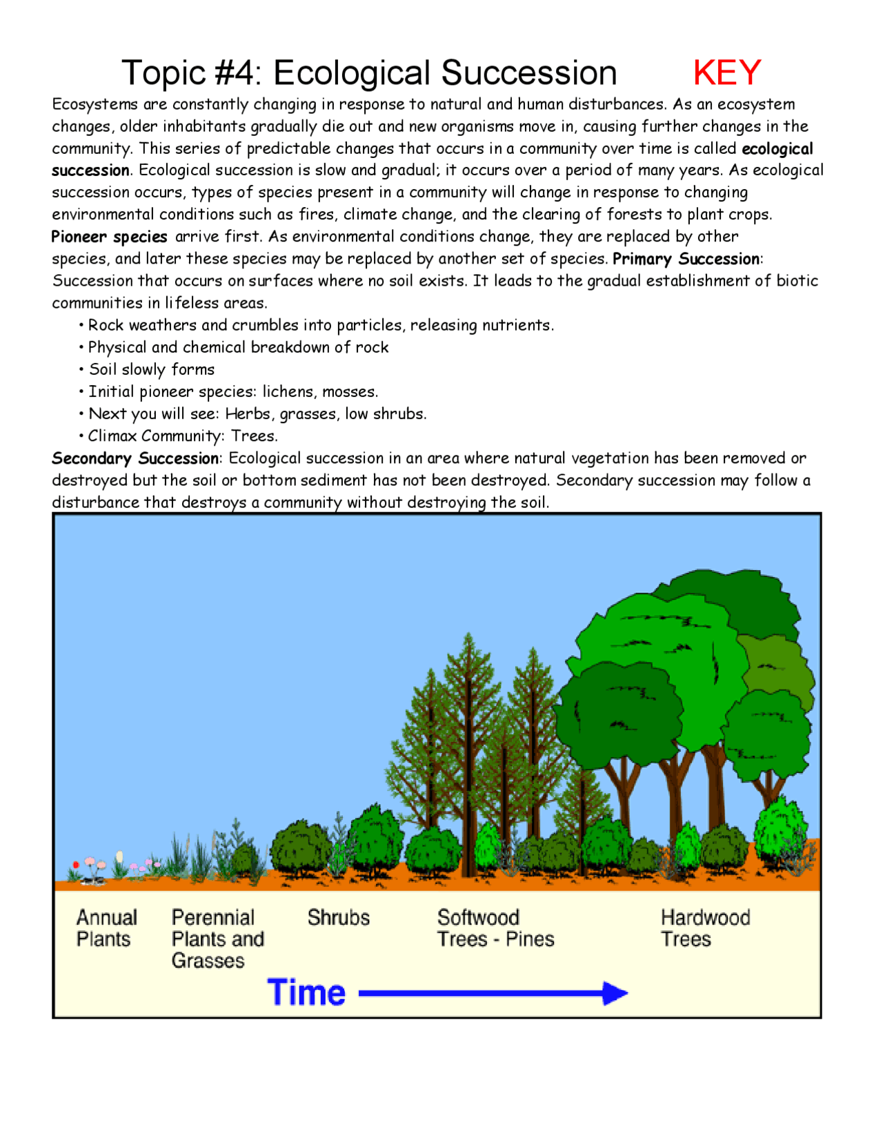 Succession Worksheet Answers Key Exercises Ecology and Environment