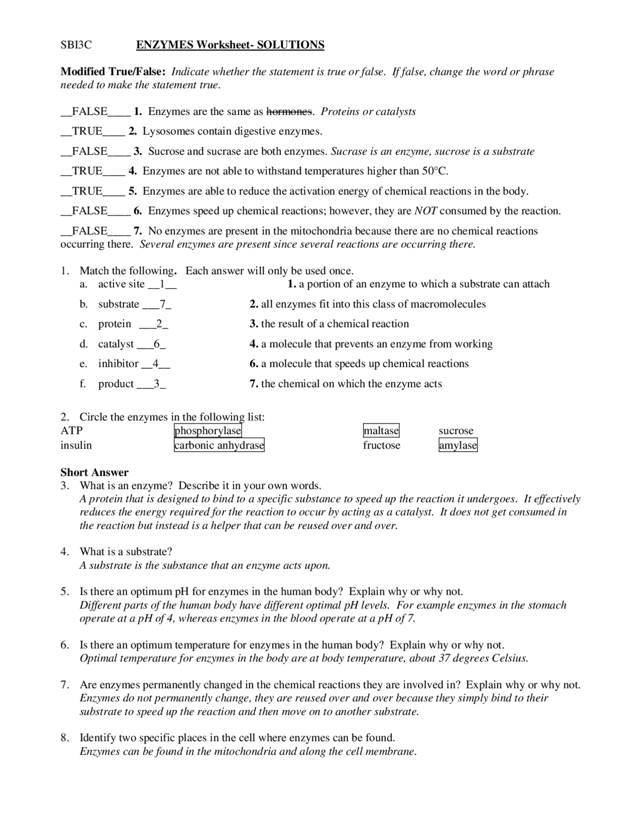 Enzymes Worksheet with Answer Key | Exercises Biochemistry | Docsity