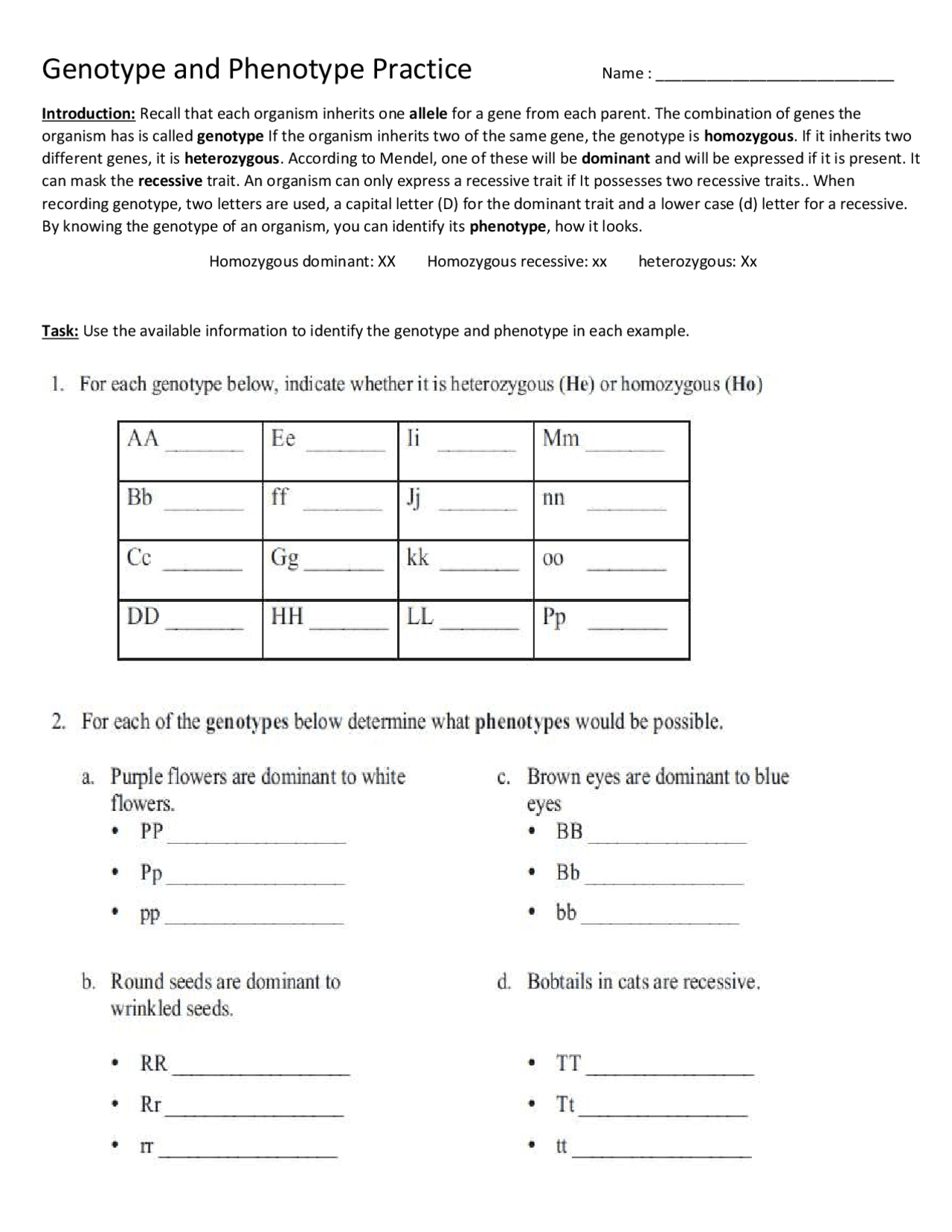 Genotype and Phenotype Practice Worksheet | Exercises Genetics | Docsity
