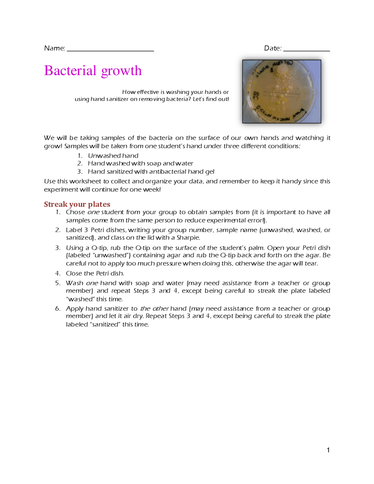 Bacteria Lab Worksheet Bacterial Growth Lab and Worksheet - Docsity