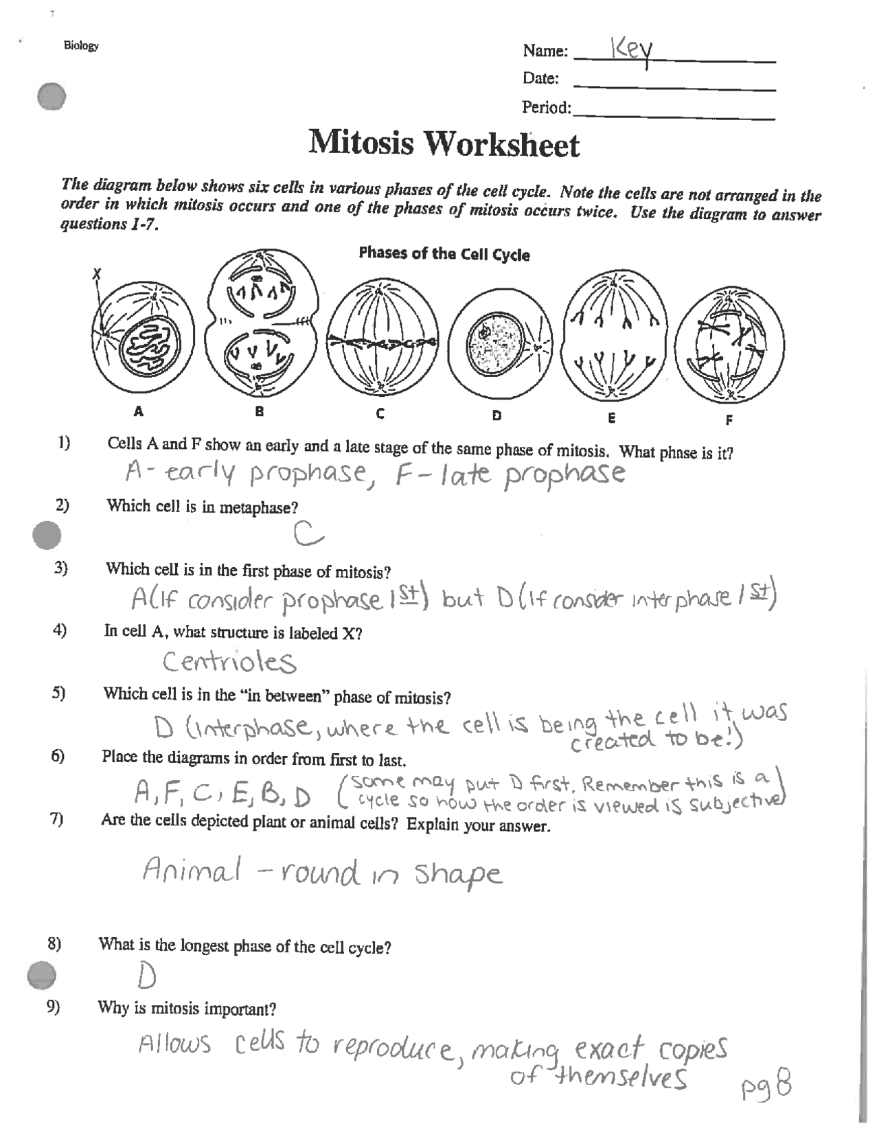 Mitosis Worksheet Answer Key Honors Biology Exercises Cell Biology Mitosis Worksheet Answer Key Honors Biology Exercises Cell Biology