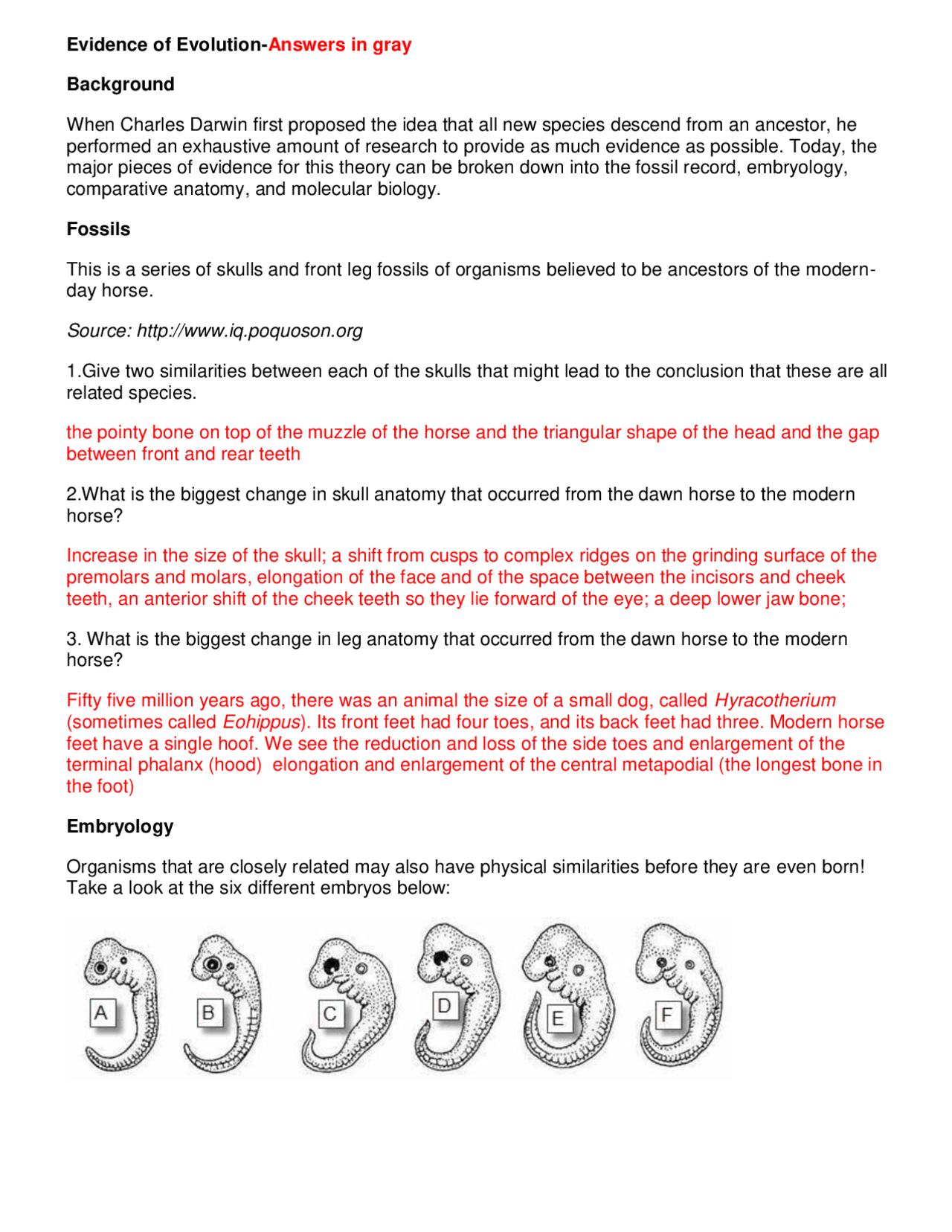 Evidence of Evolution Worksheet with Answers | Exercises Evolutionary  biology | Docsity