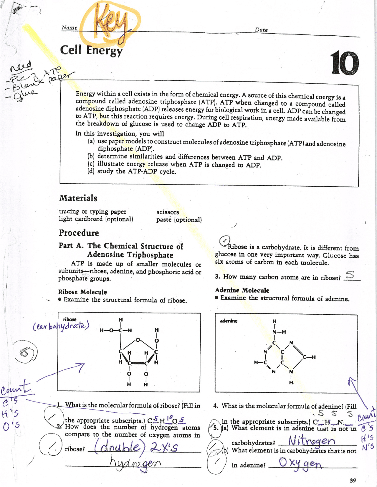ATP Worksheet Answer Key