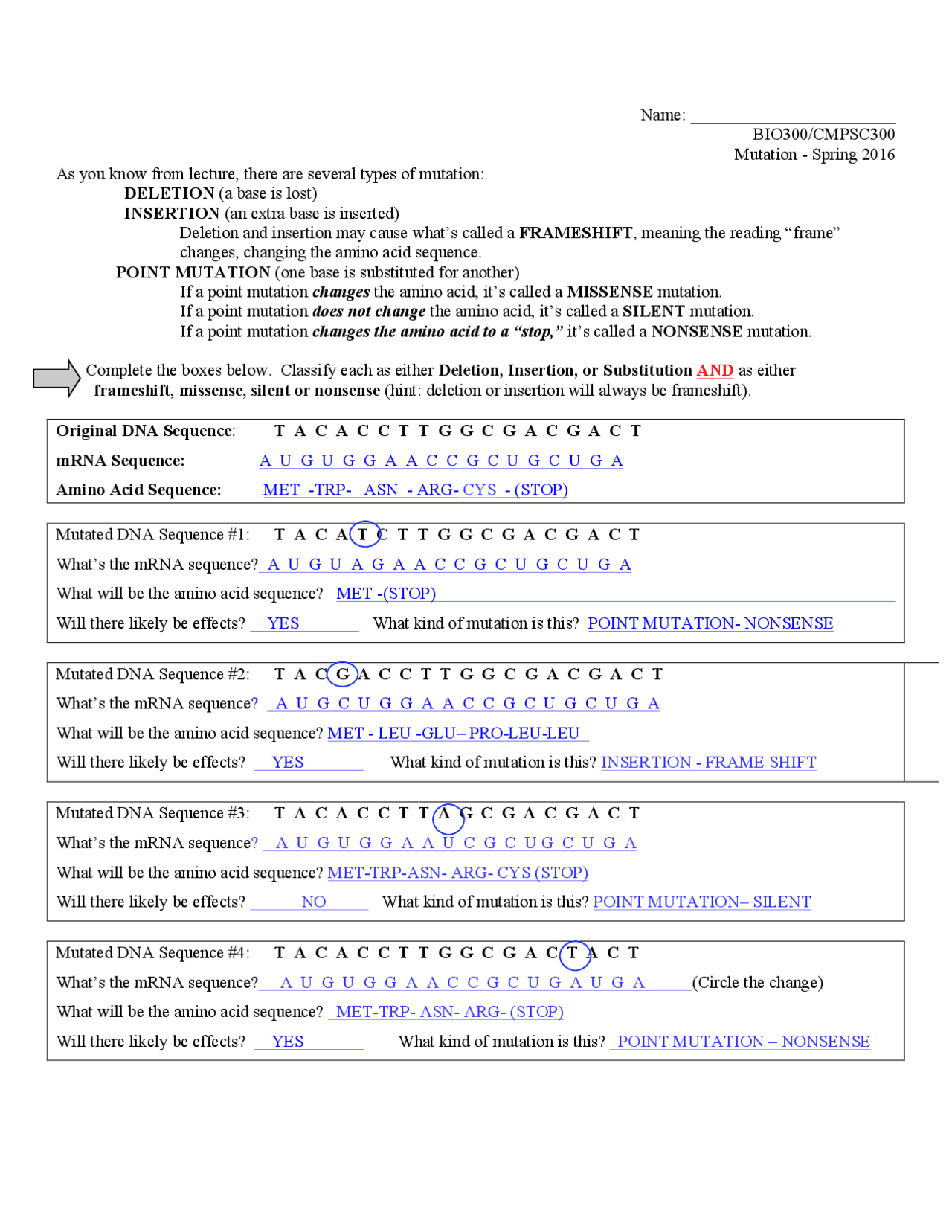 DNA Mutation Worksheet Key - Bioinformatics - Docsity With Regard To Dna Mutations Practice Worksheet Answer