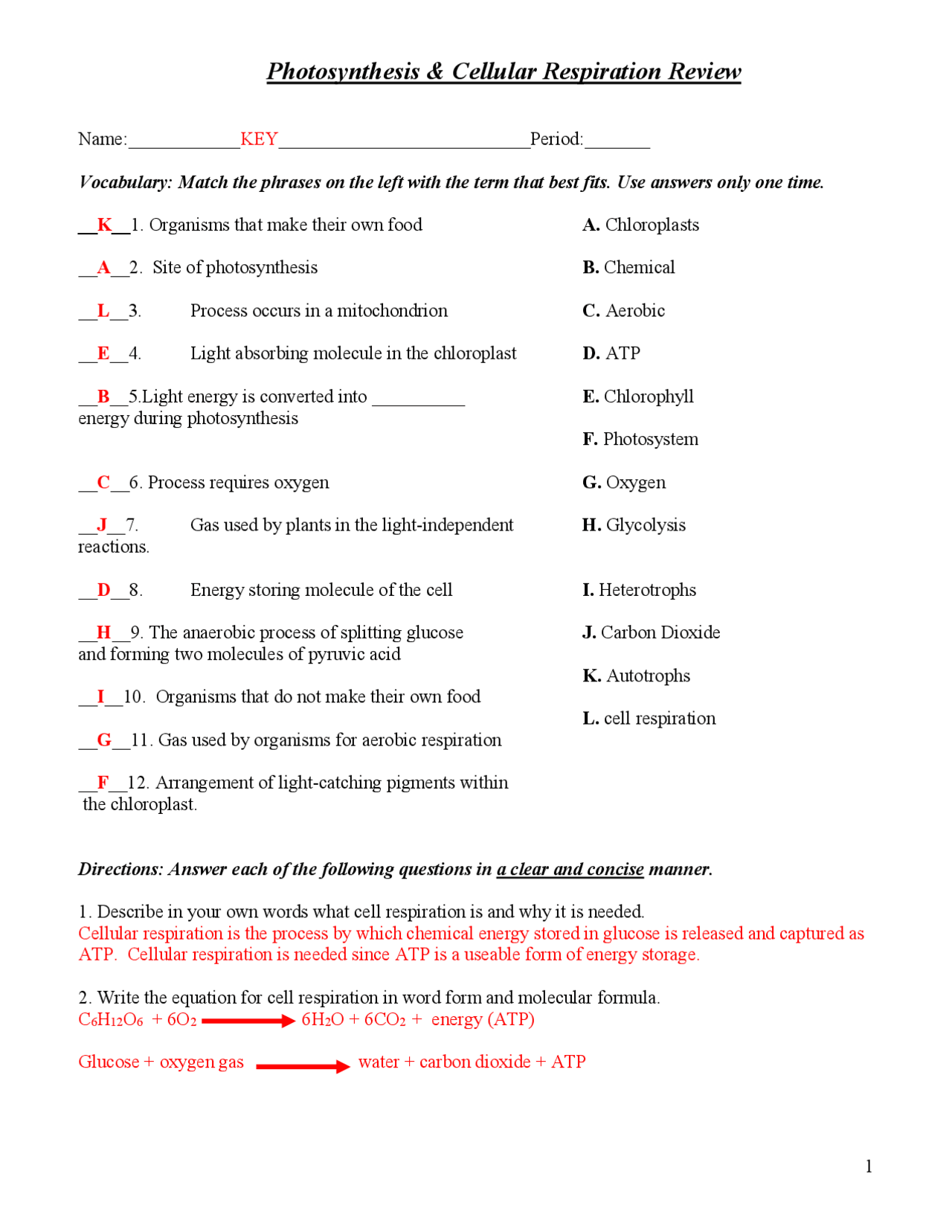 Photosynthesis And Cellular Respiration Worksheet Answer Key