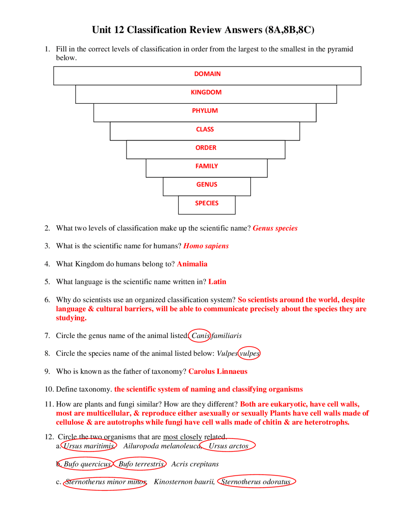 Classification and Taxonomy worksheet answers | Exercises Animal Biology |  Docsity