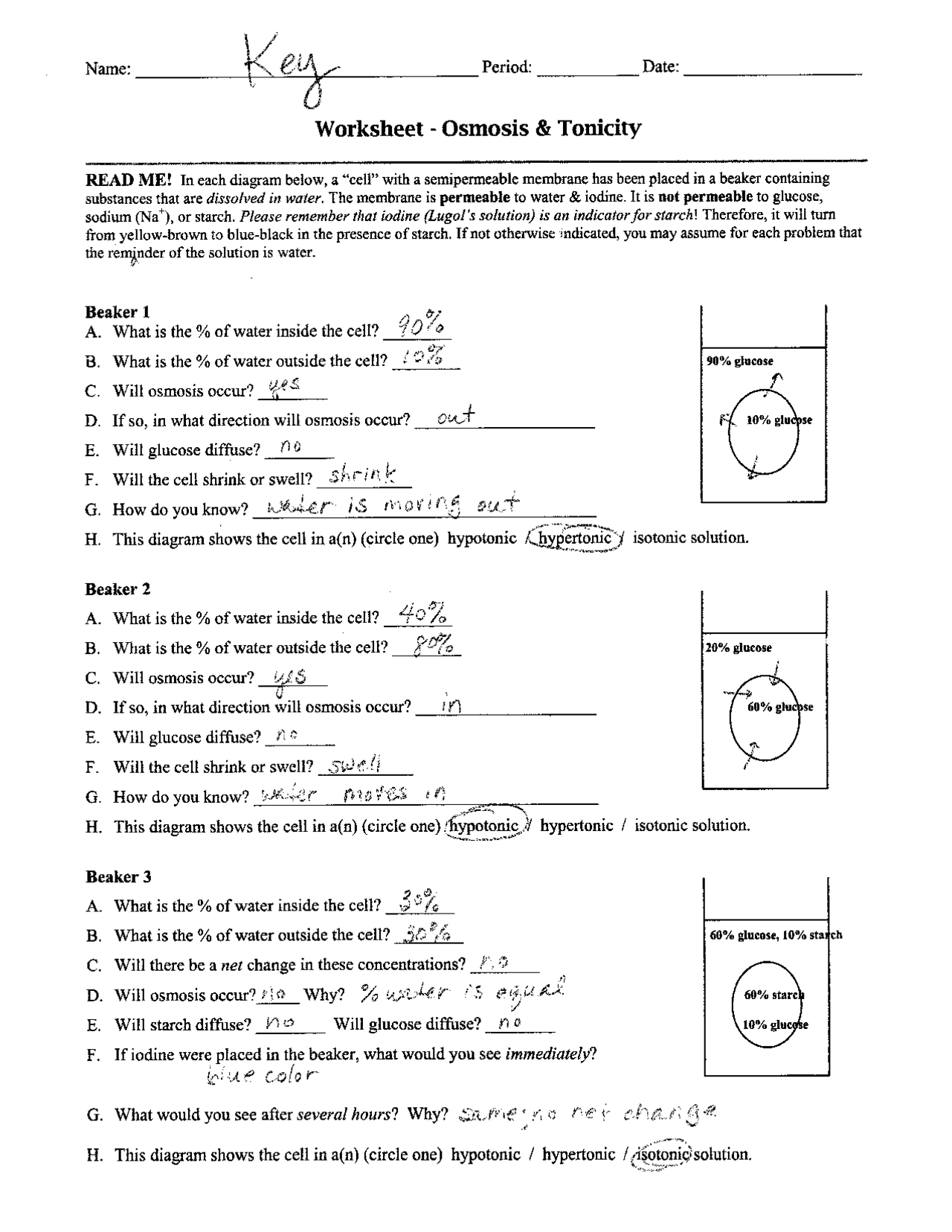Cell Membrane And Tonicity Worksheet E Street Light