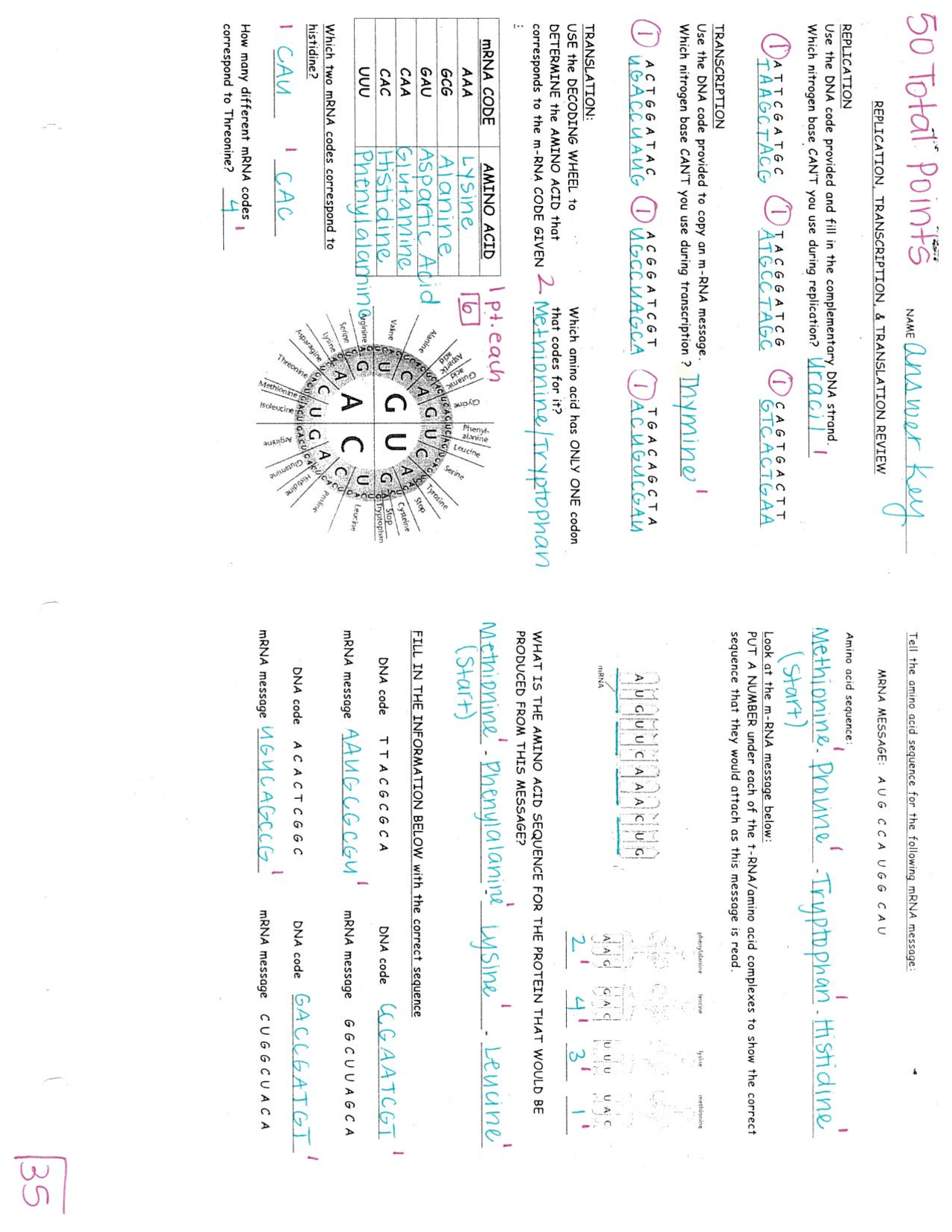 transcription and translation worksheet answer key