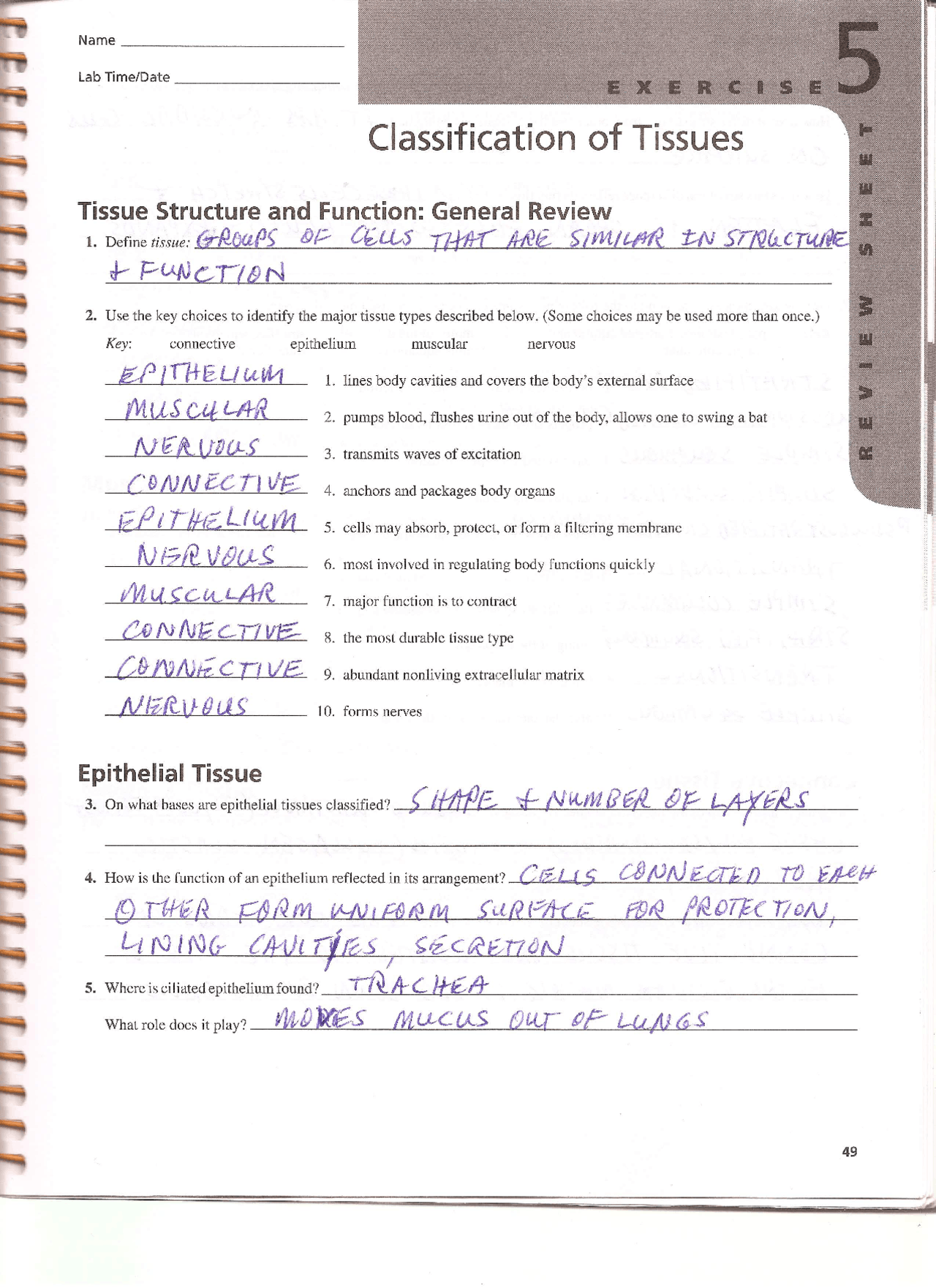 Classification Of Tissues Exercise 5