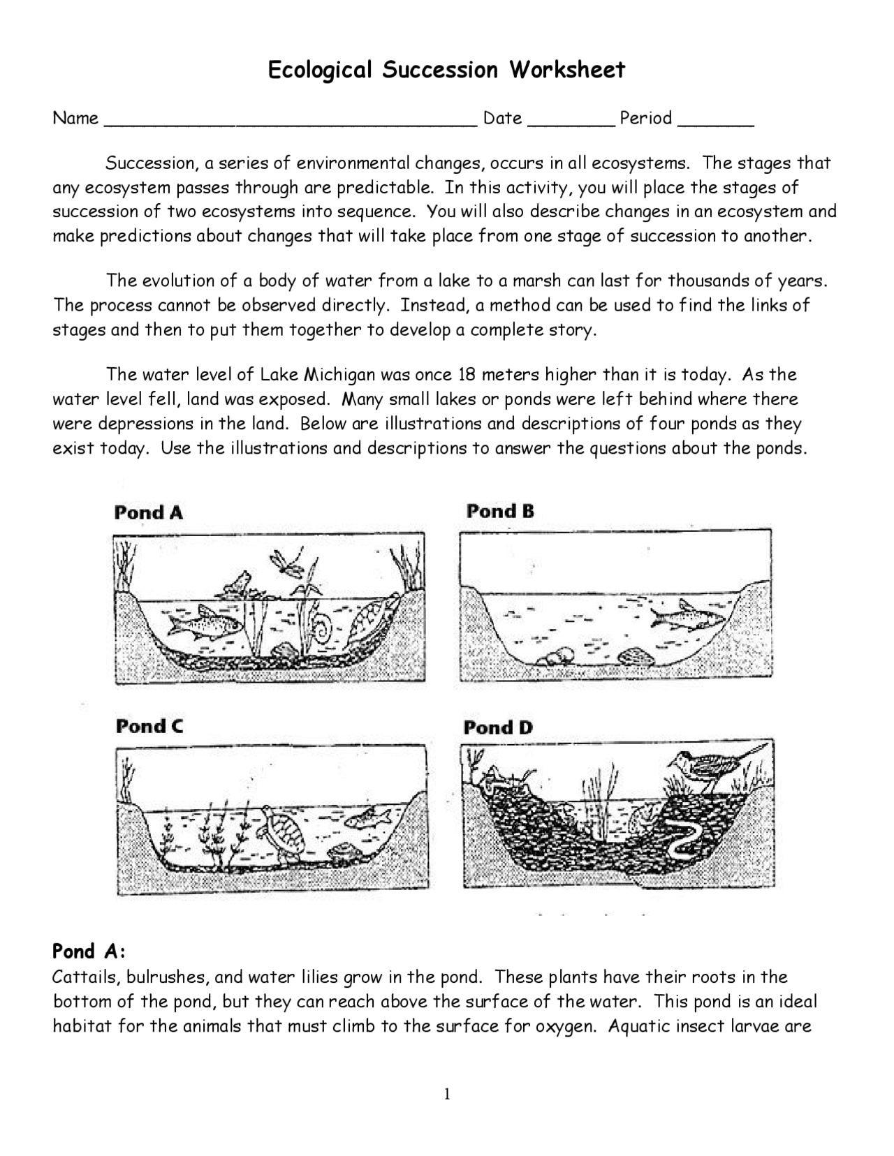 Ecological Succession Worksheet | Exercises Ecology and Environment |  Docsity