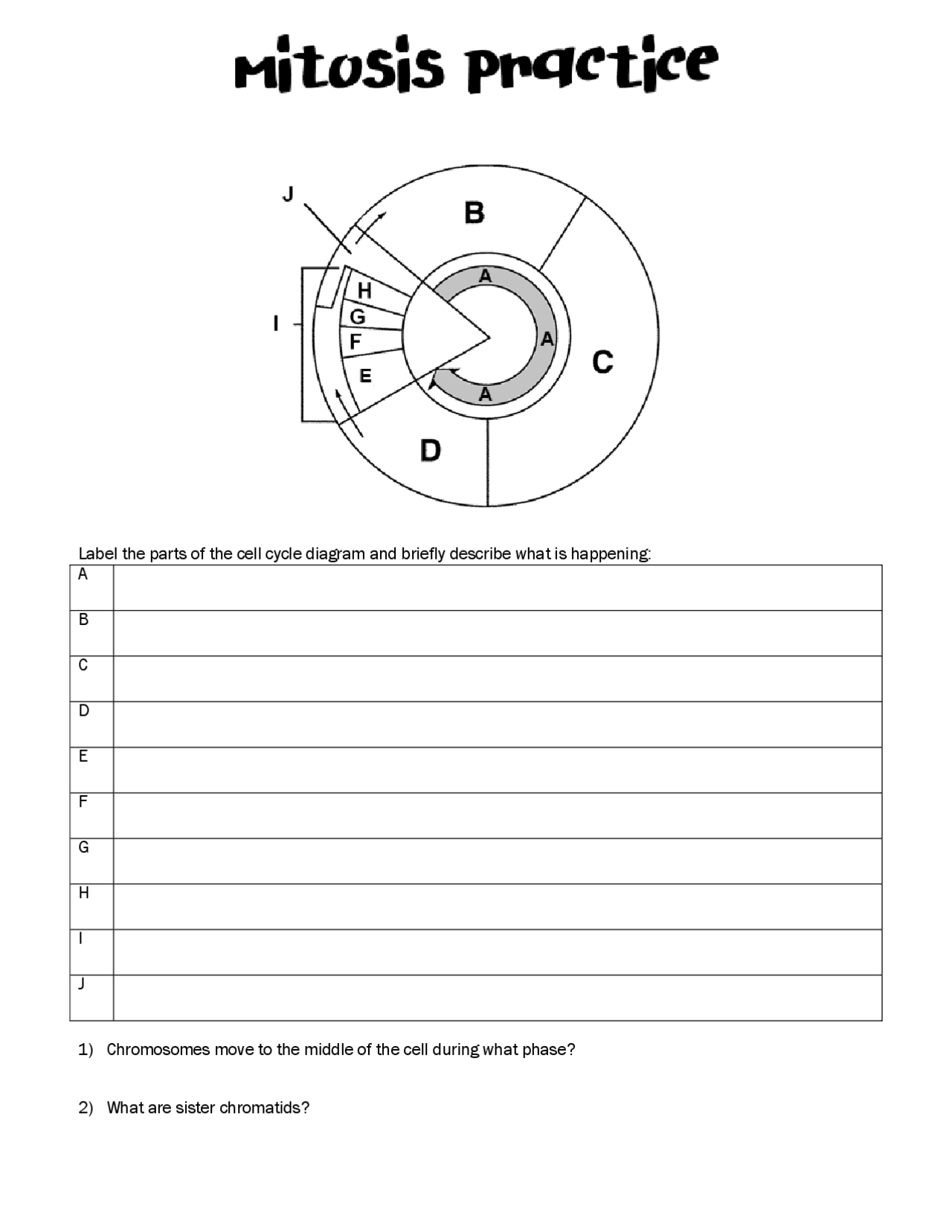 Extra Mitosis Practice Worksheet - Docsity Intended For Cell Cycle And Mitosis Worksheet