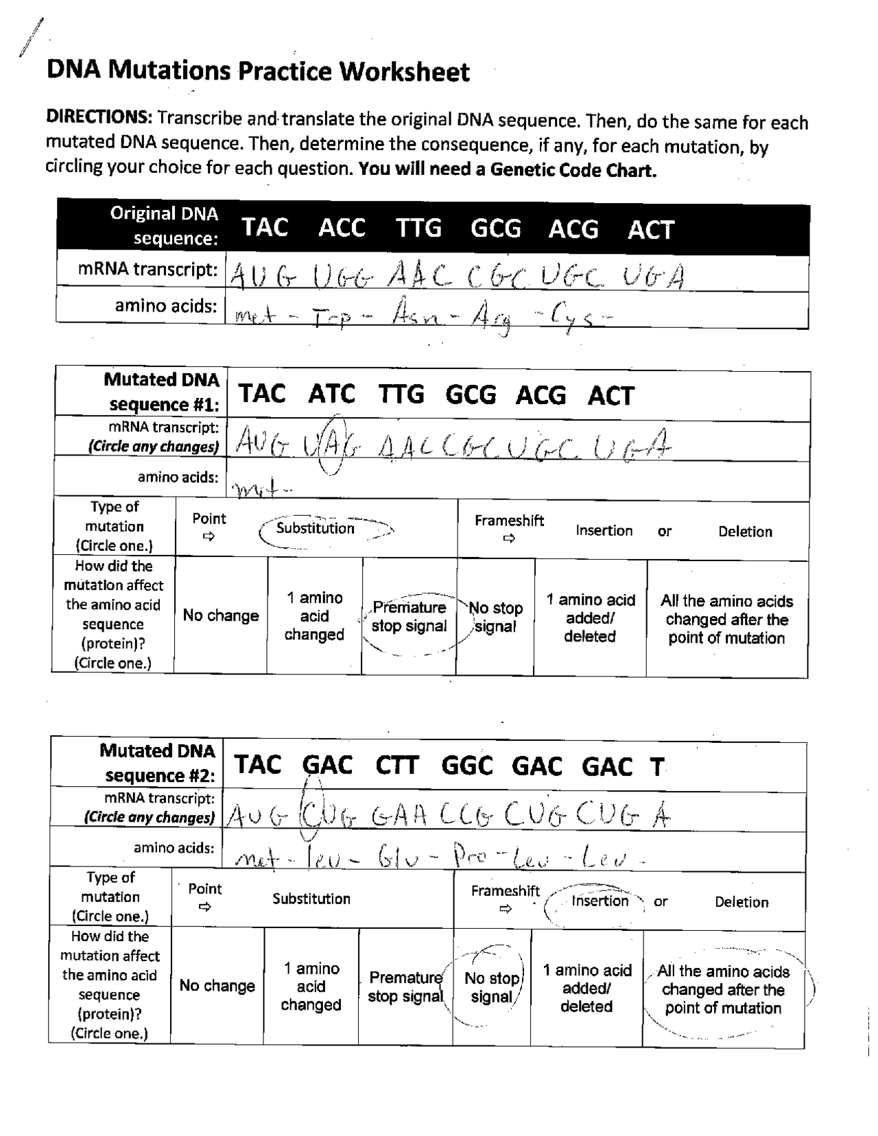 DNA Mutation Practice Worksheet Docsity