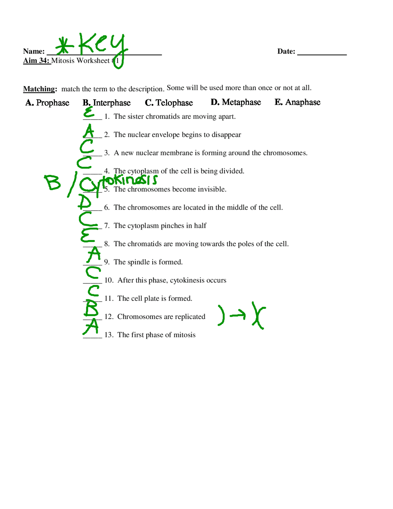 Mitosis Matching Worksheet with Answer Key | Exercises Cell Biology |  Docsity
