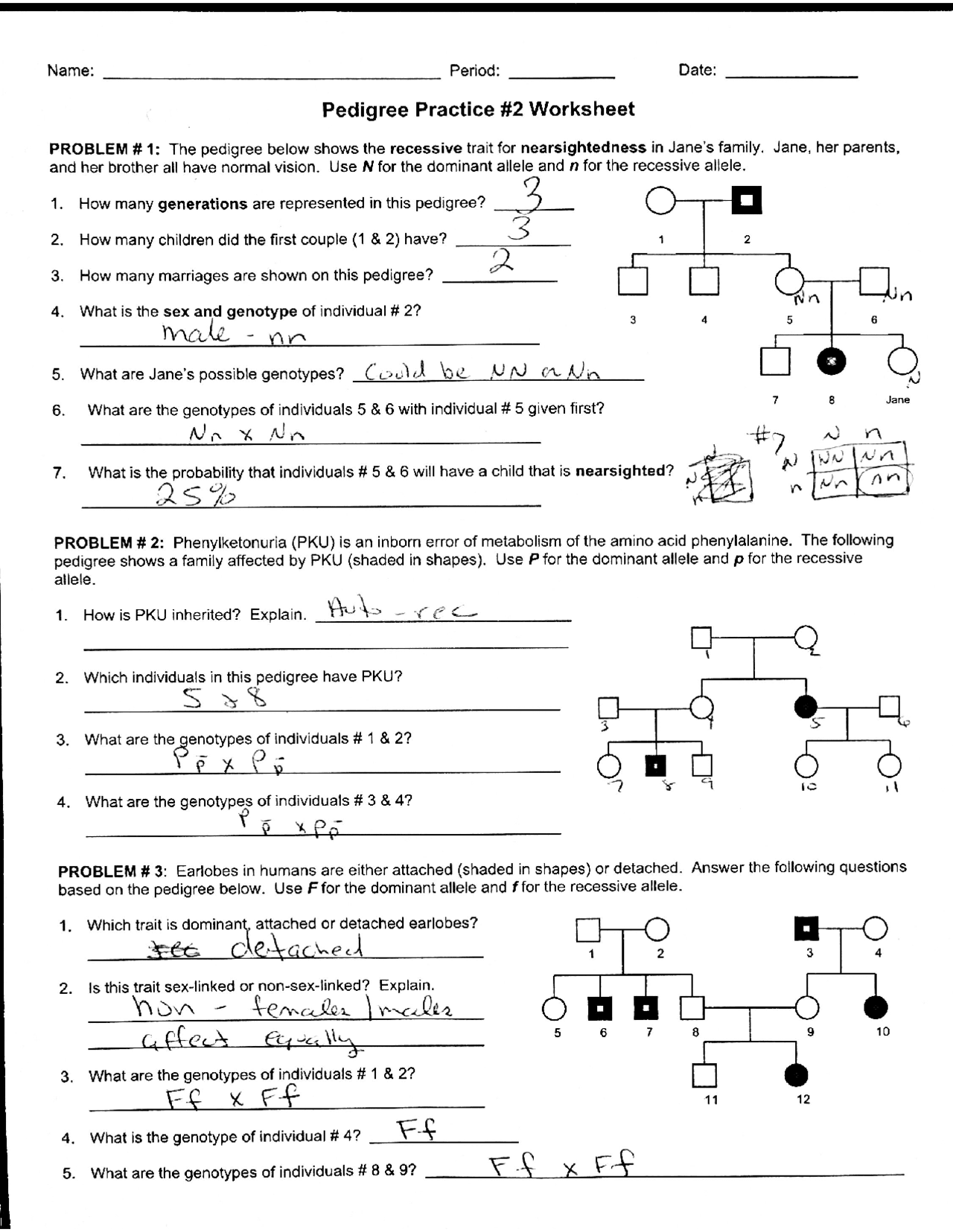 Worksheet Pedigree Practice with Answer Key - Docsity Intended For Genetics Problems Worksheet Answer Key