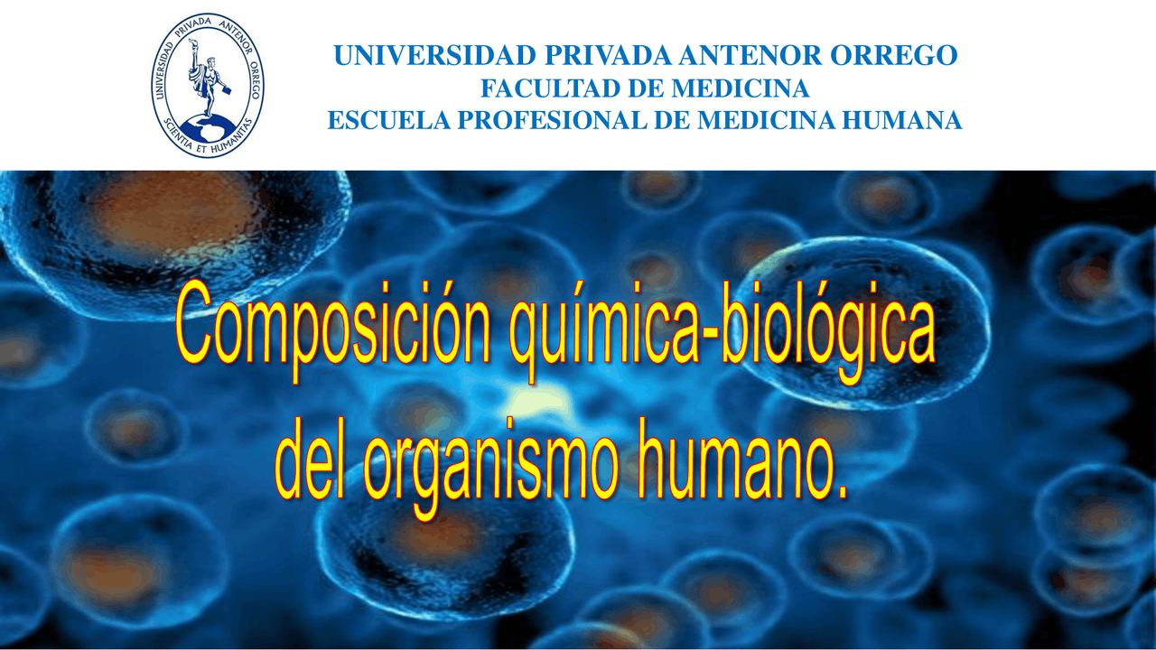 Composición del ser humano - Docsity