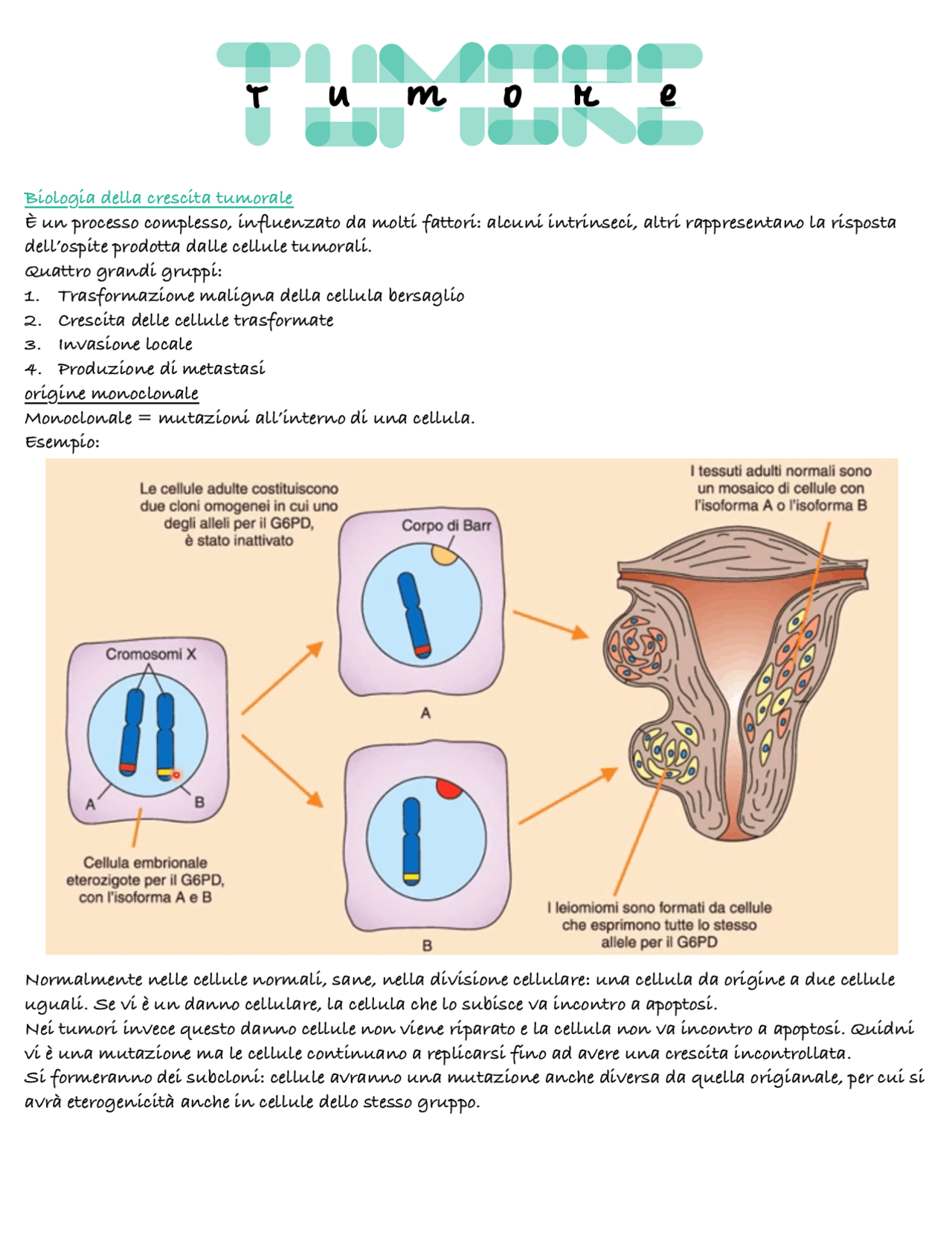 Patologia Clinica Tumore Docsity
