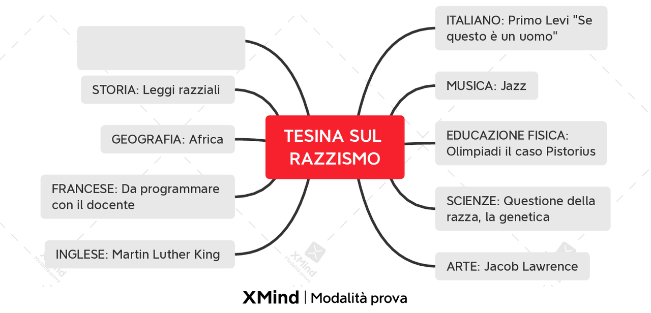 Tesina Terza Media e Quinto Superiore sul Razzismo | Schemi e mappe