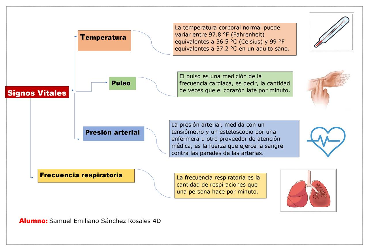 Mapa conceptual de los signos vitales | Esquemas y mapas conceptuales