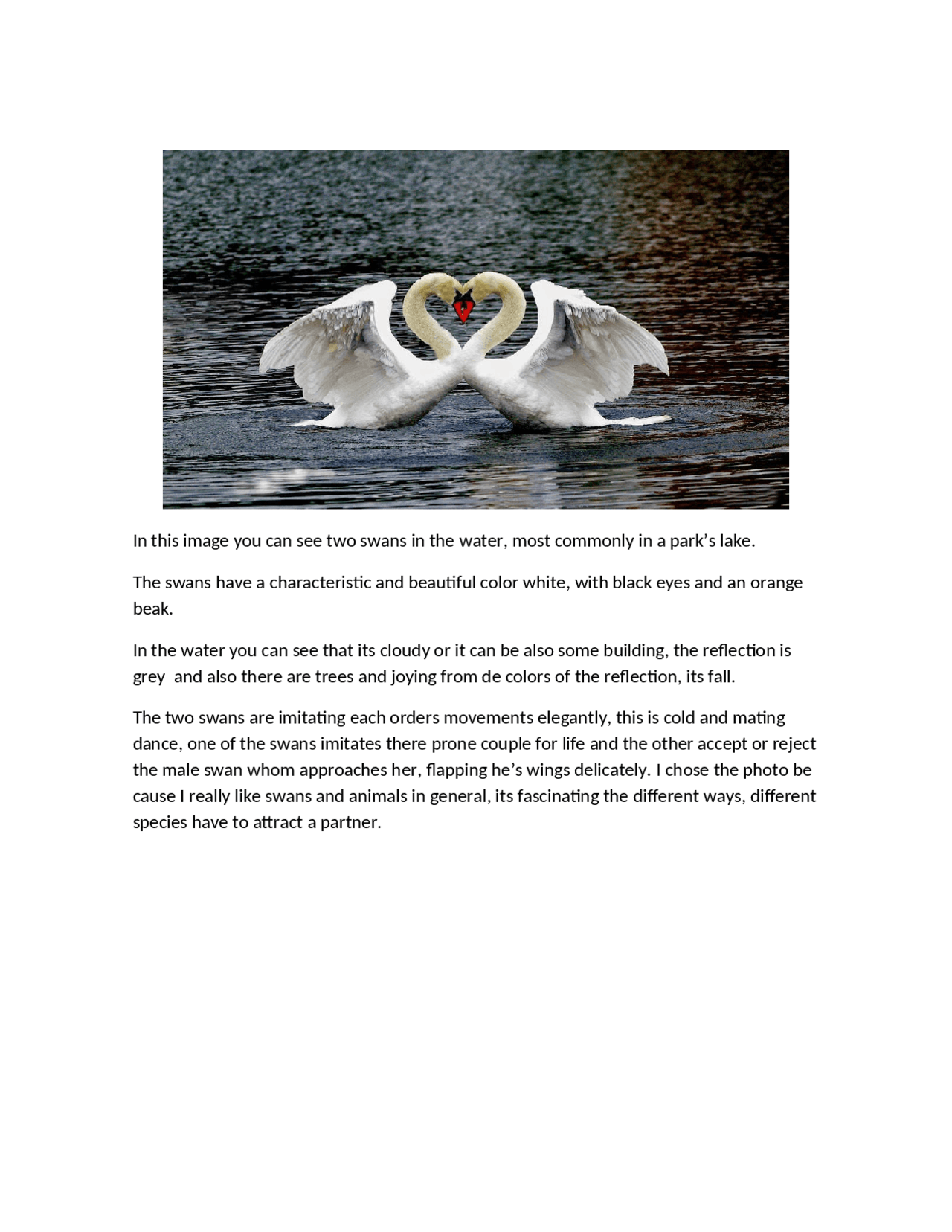 Descripción de una foto en ingles - Docsity