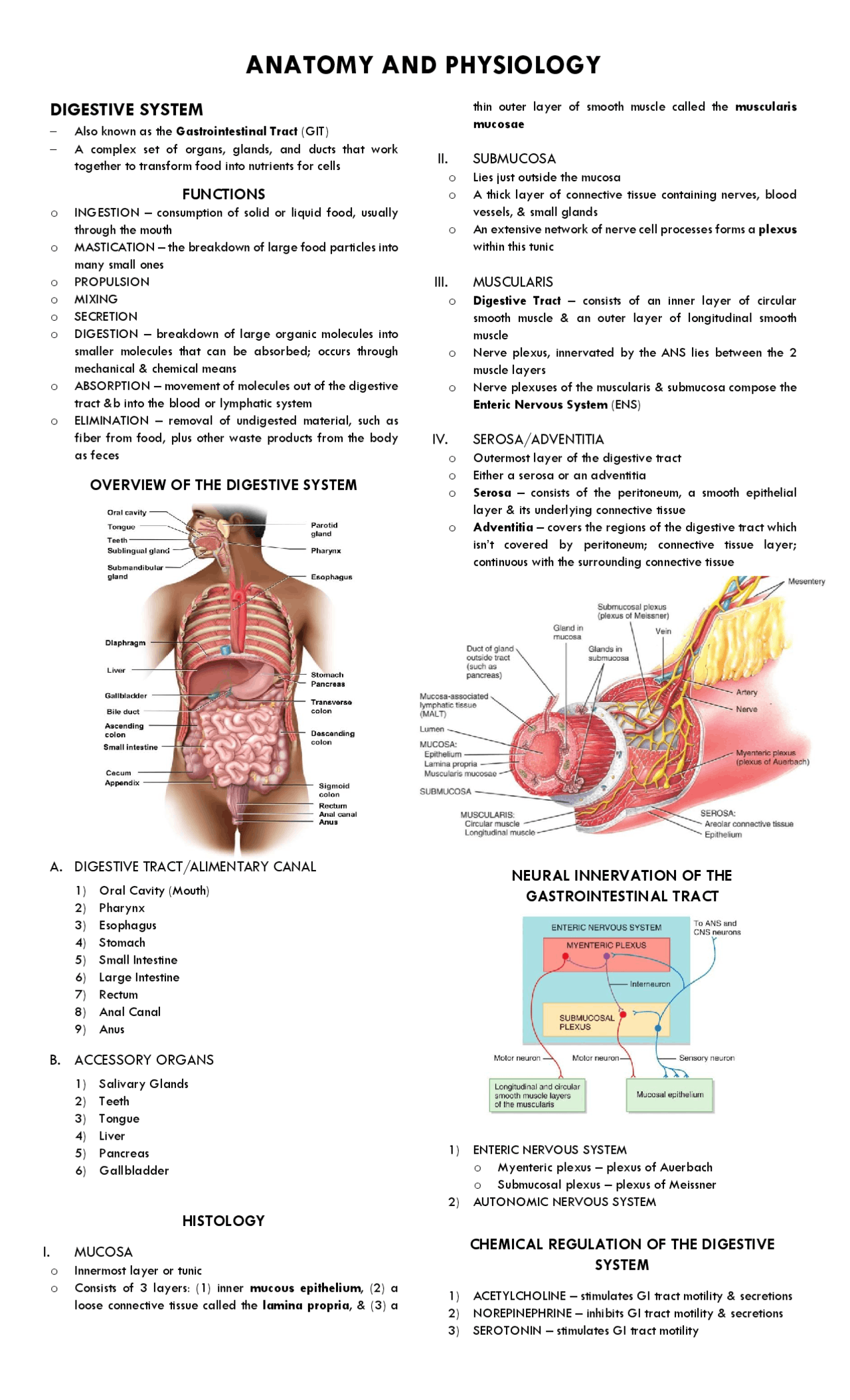Digestive System Reviewer | Lecture notes Biology | Docsity