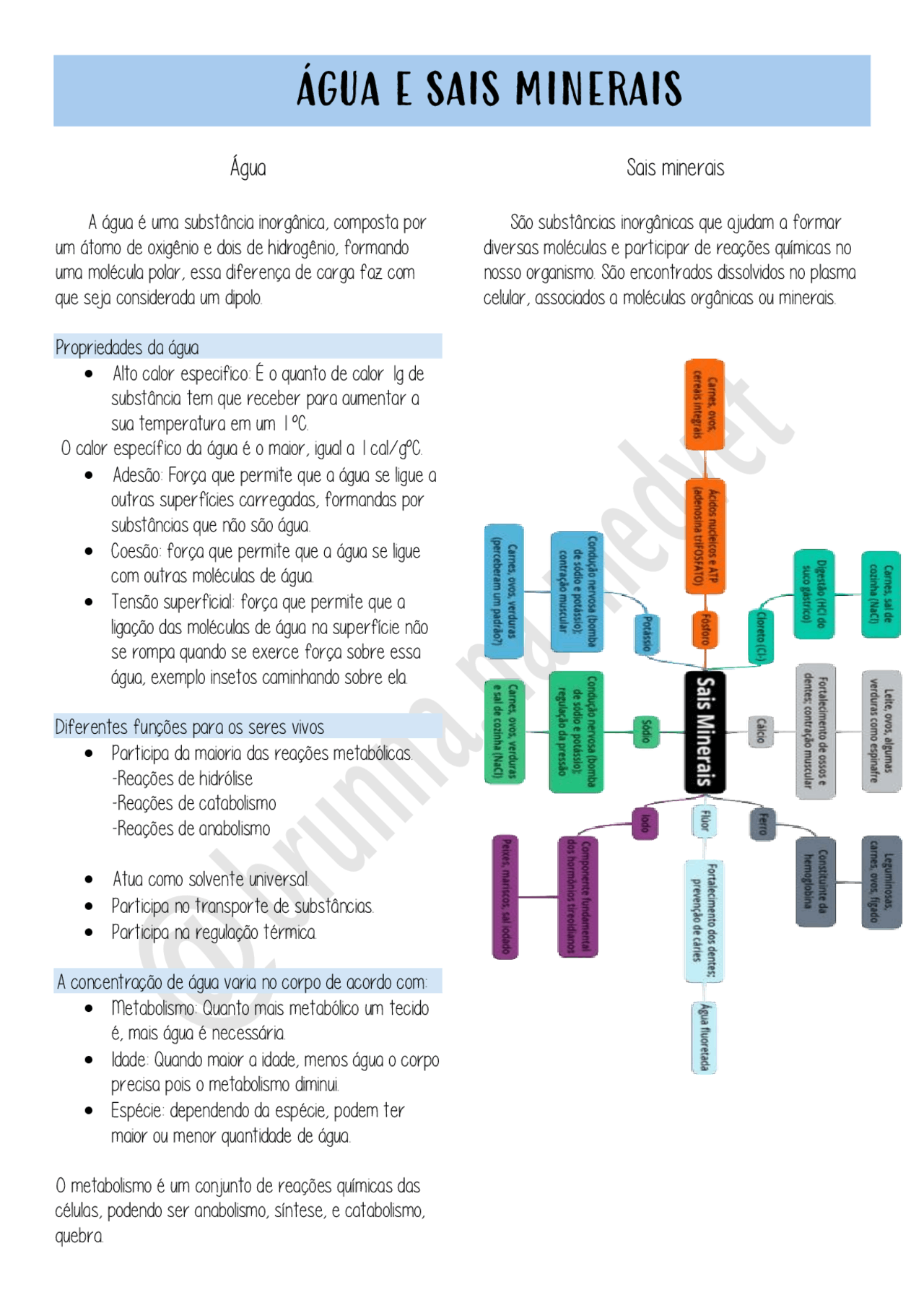 Agua Com Sais Minerais - FDPLEARN