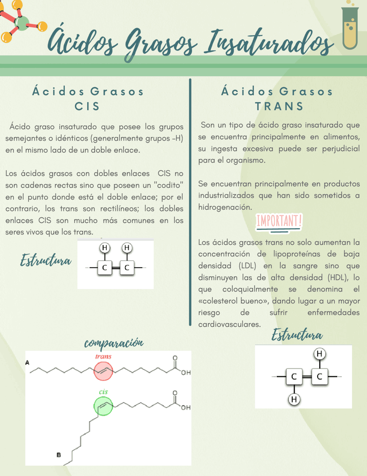 ACIDOS GRASOS, CIS Y TRANS. Esquemas y mapas conceptuales de Química Docsity ACIDOS GRASOS, CIS Y TRANS. Esquemas y mapas conceptuales de Química Docsity