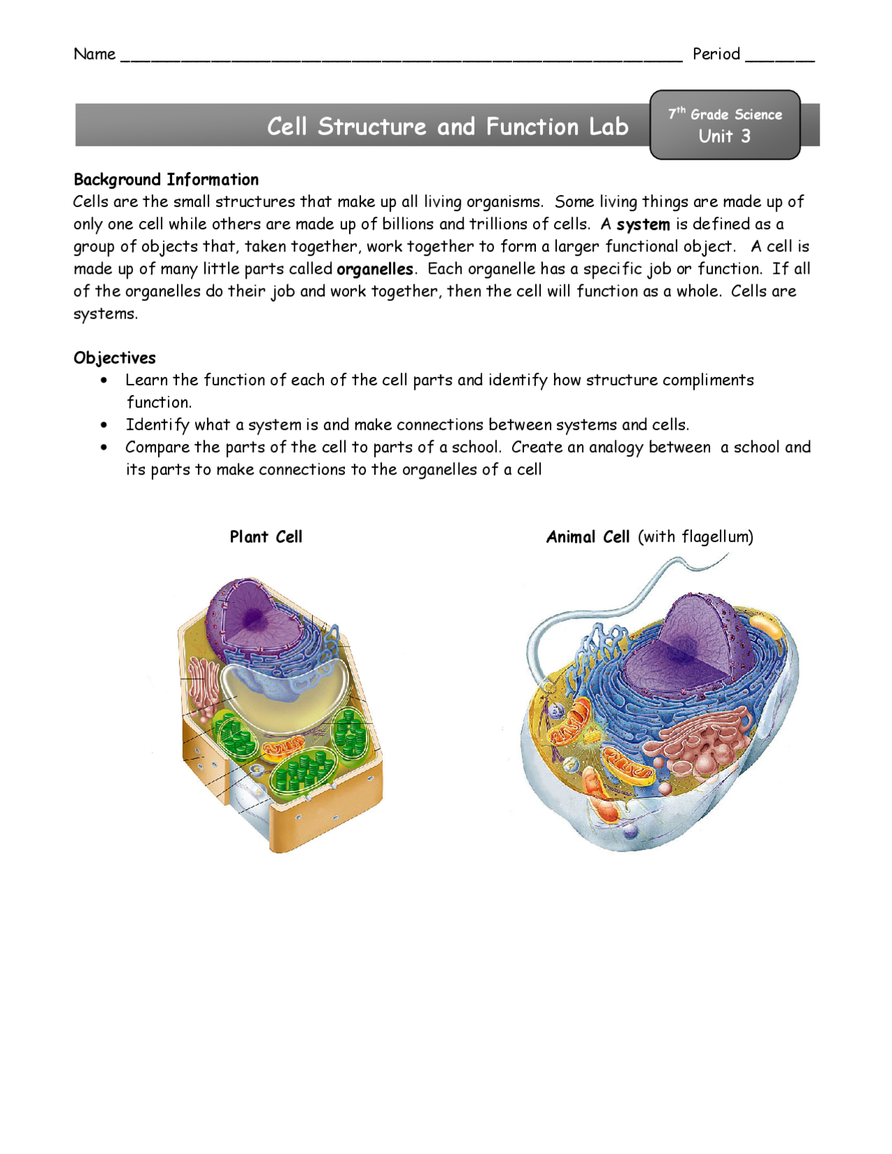Cell Structure Lab Report Cell Structure and Function Lab | Lab Reports Biology | Docsity