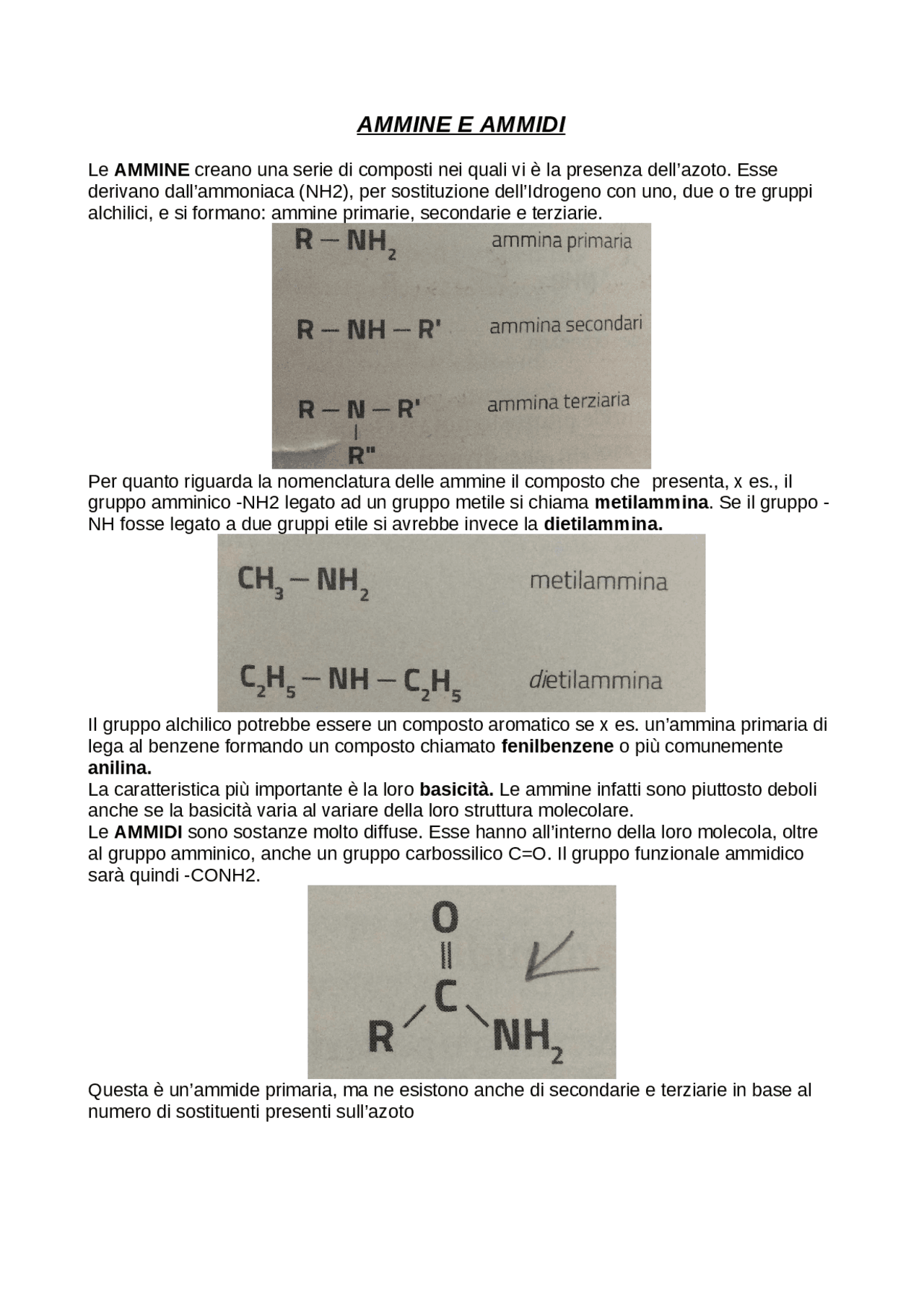 Ammine e Ammidi chimica organica Docsity