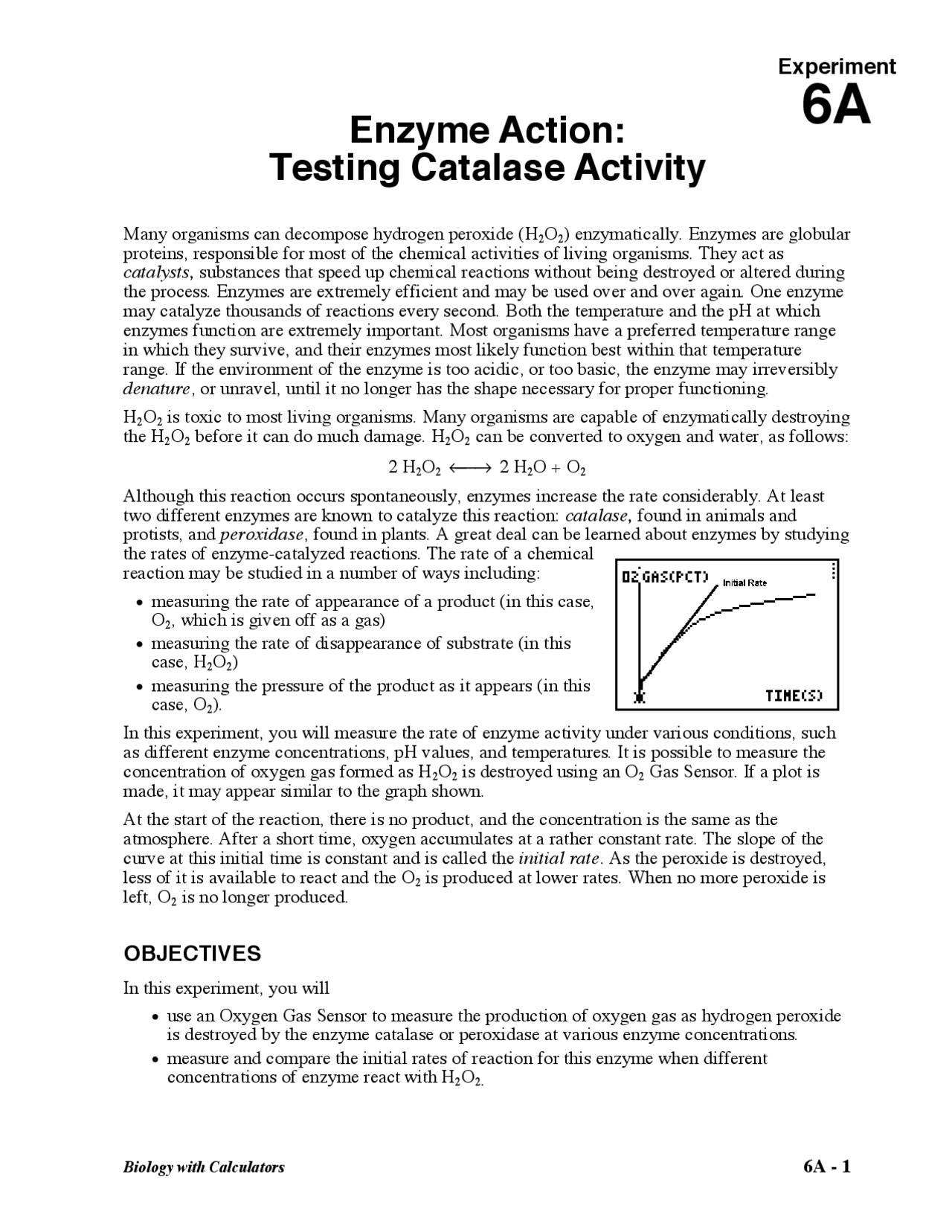 Enzyme Action: Testing Catalase Activity | Lab Reports Biology - Docsity