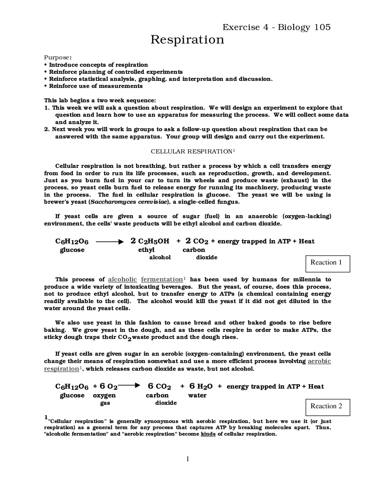 Respiration Lab Report Docsity
