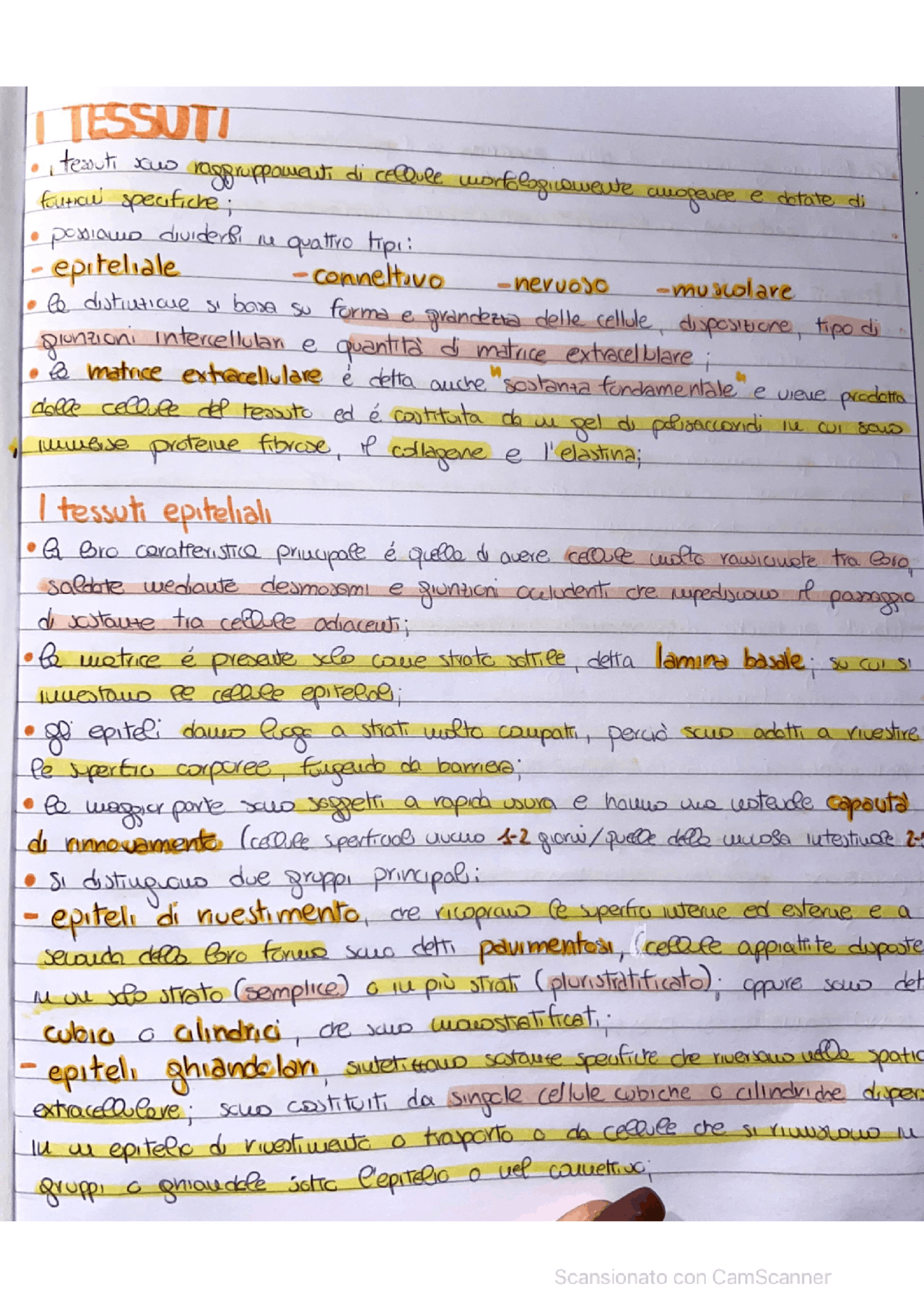 I tessuti di biologia Docsity