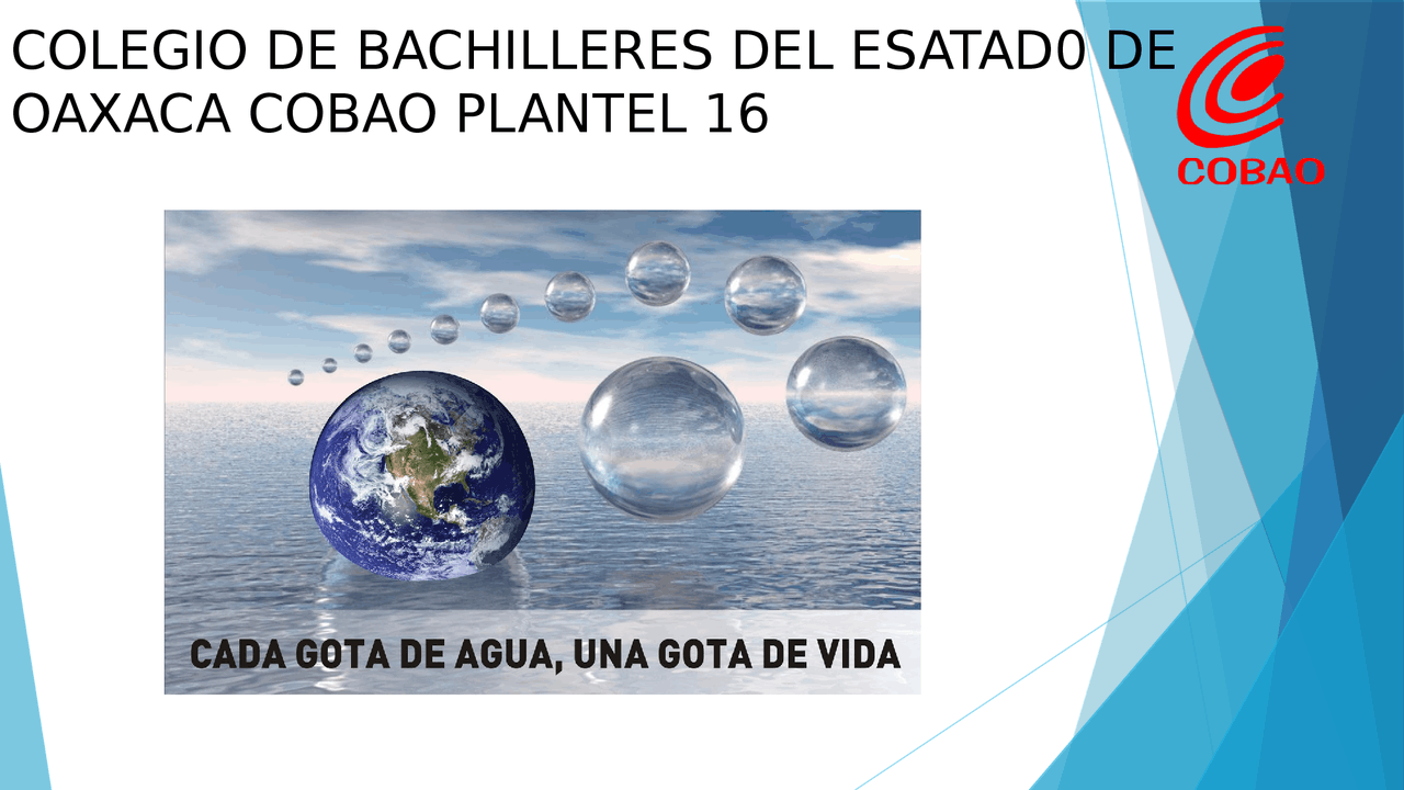Cada gota de agua, una gota de vida | Diapositivas de Biología | Docsity